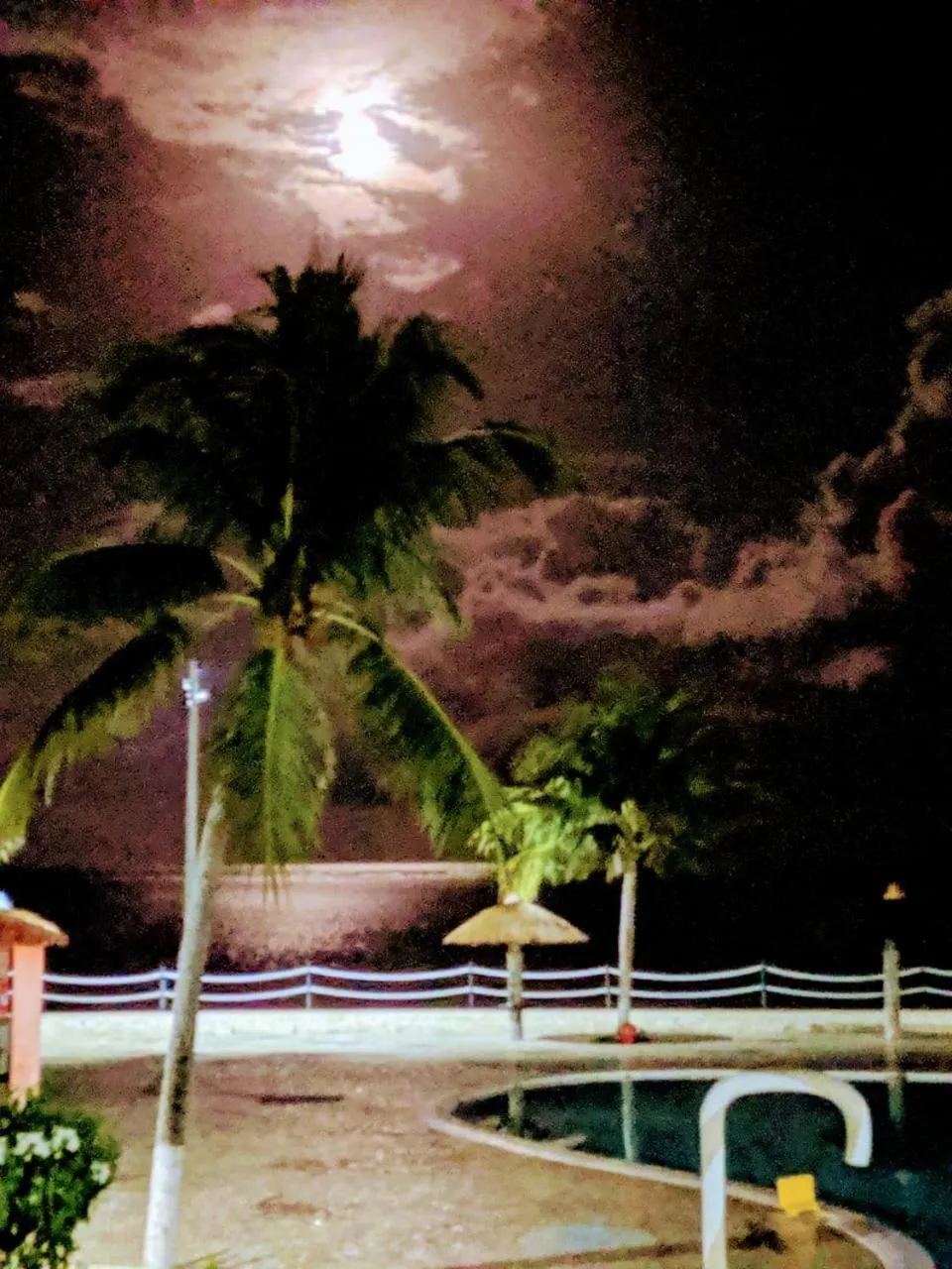 Natural landscape in Chale 48 Maragogi Village Gales