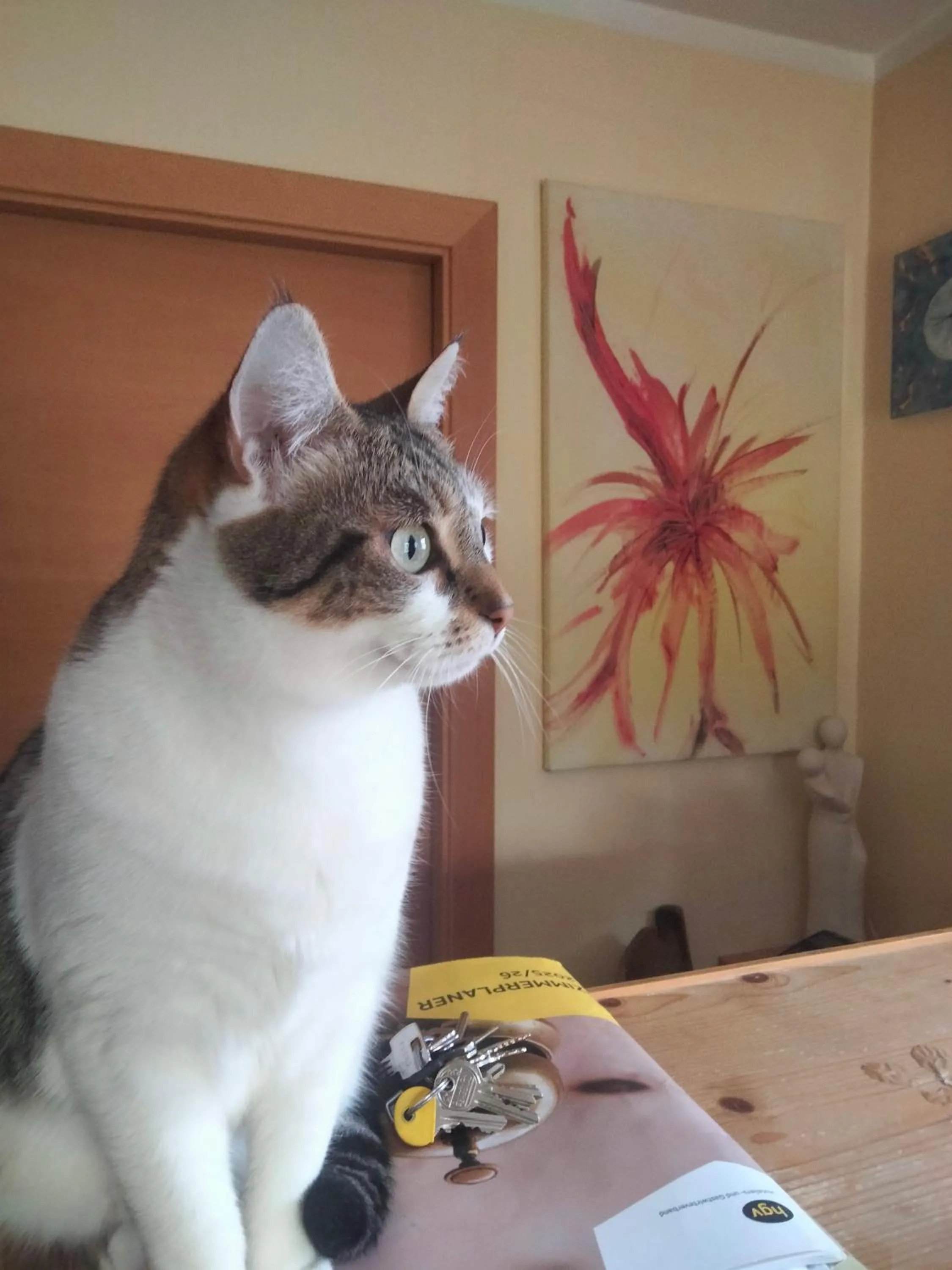 Pets in Bergchalet Hotel Reinerhof