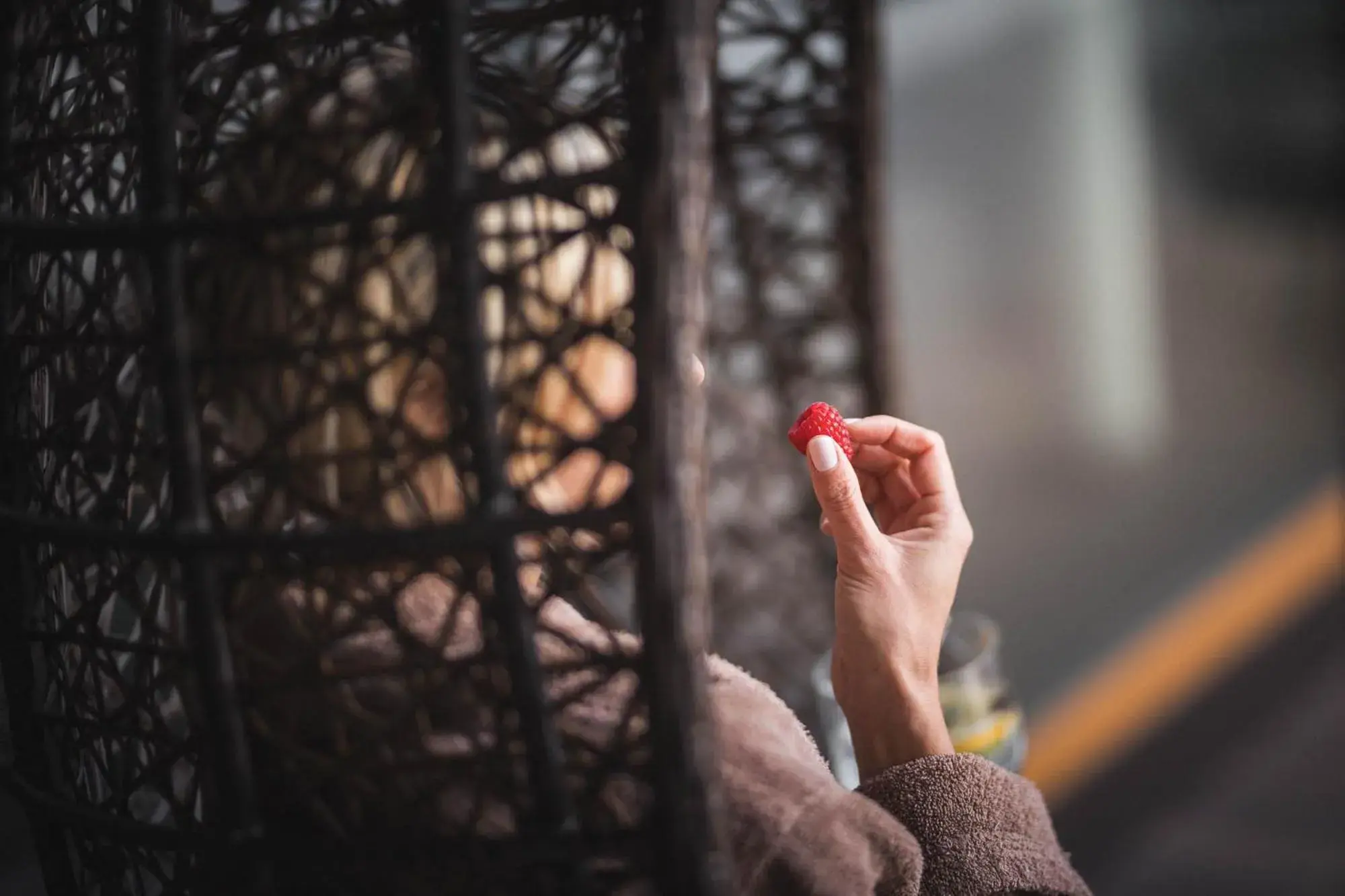 Food close-up in Terentnerhof 4*S active & lifestyle hotel Food close-up in Terentnerhof 4*S active & lifestyle hotel