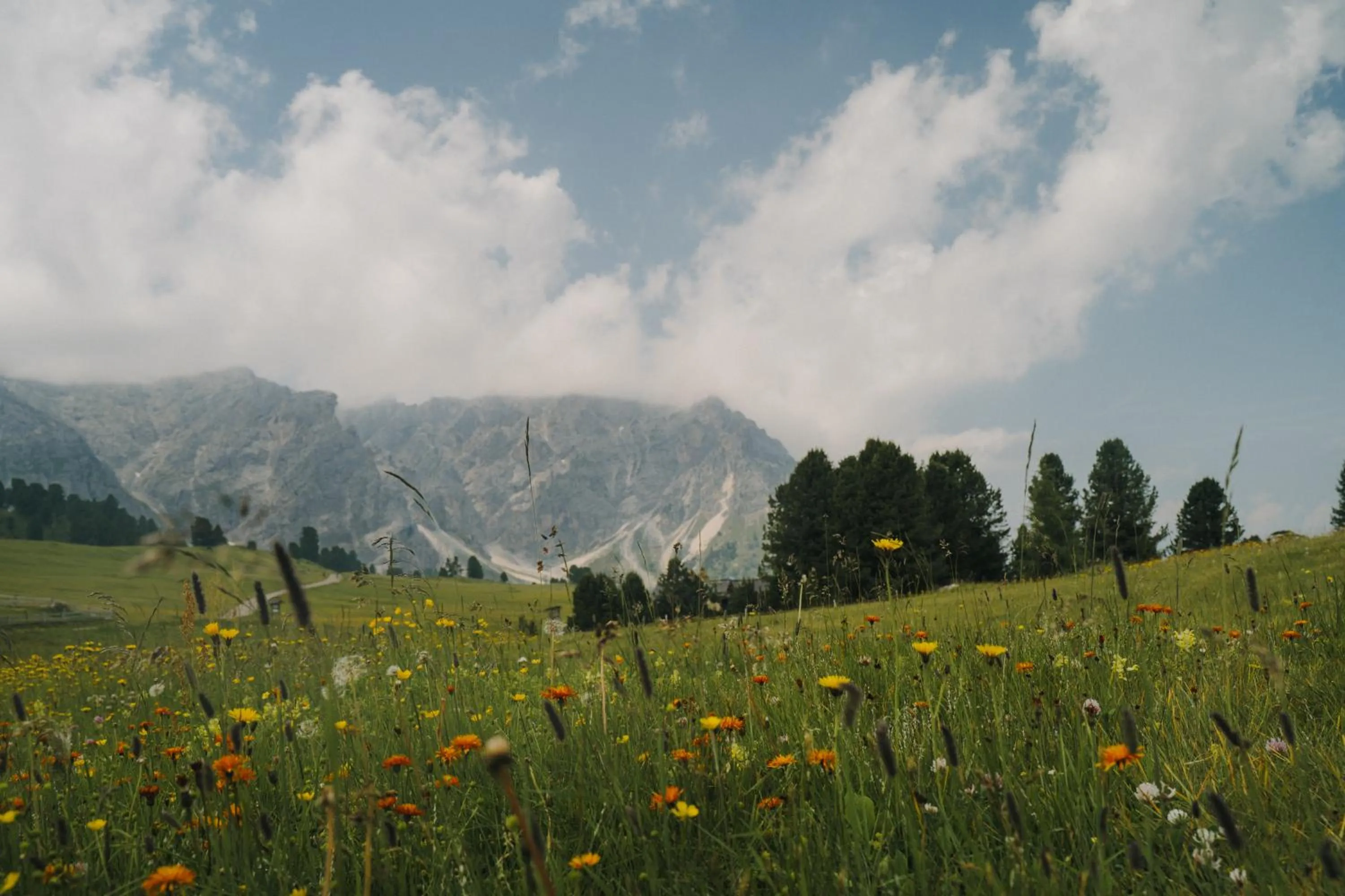 Area and facilities in Terentnerhof 4*S active & lifestyle hotel