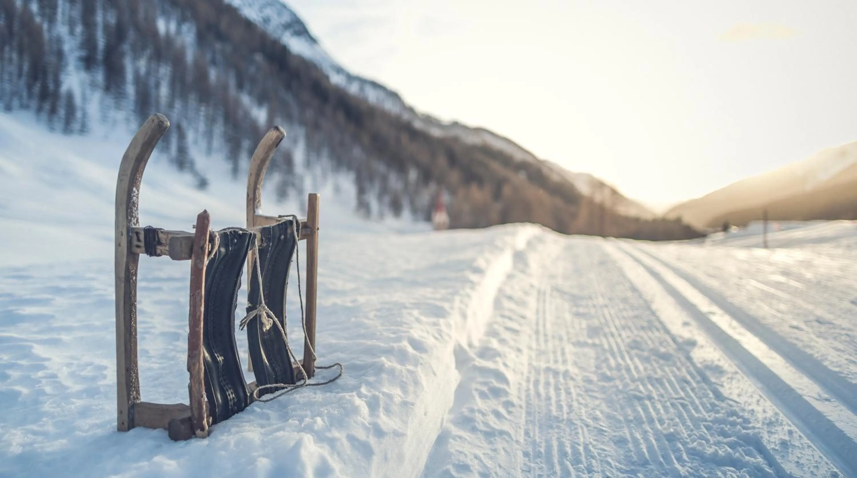 Natural landscape in Terentnerhof 4*S active & lifestyle hotel