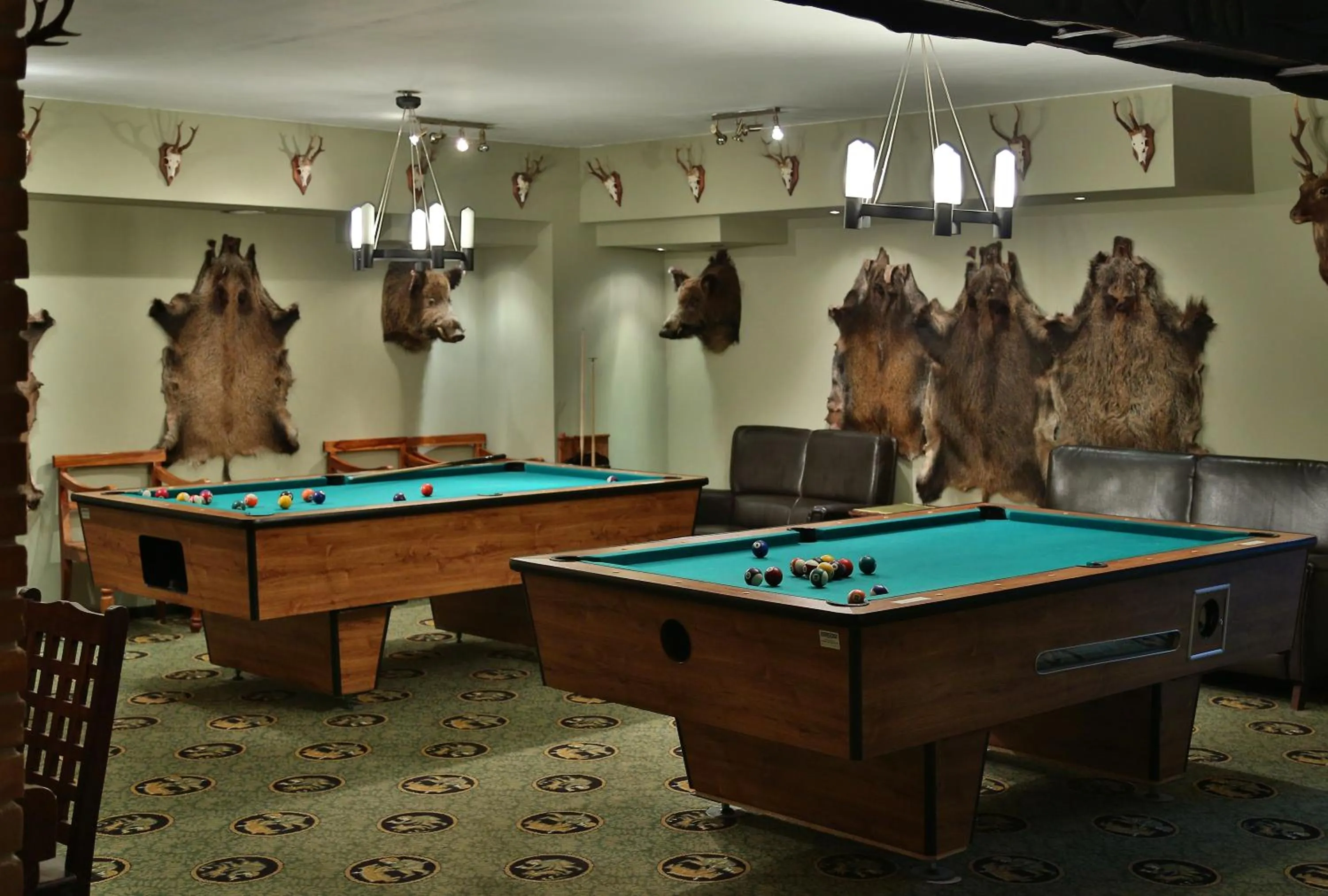 Billiard in Gościniec Ryński Młyn