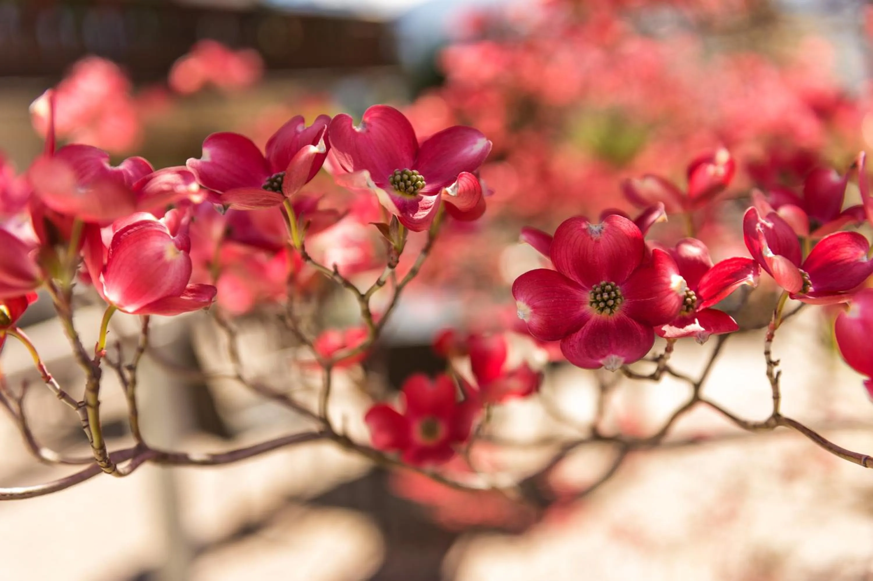 Decorative detail in Landhaus Fux