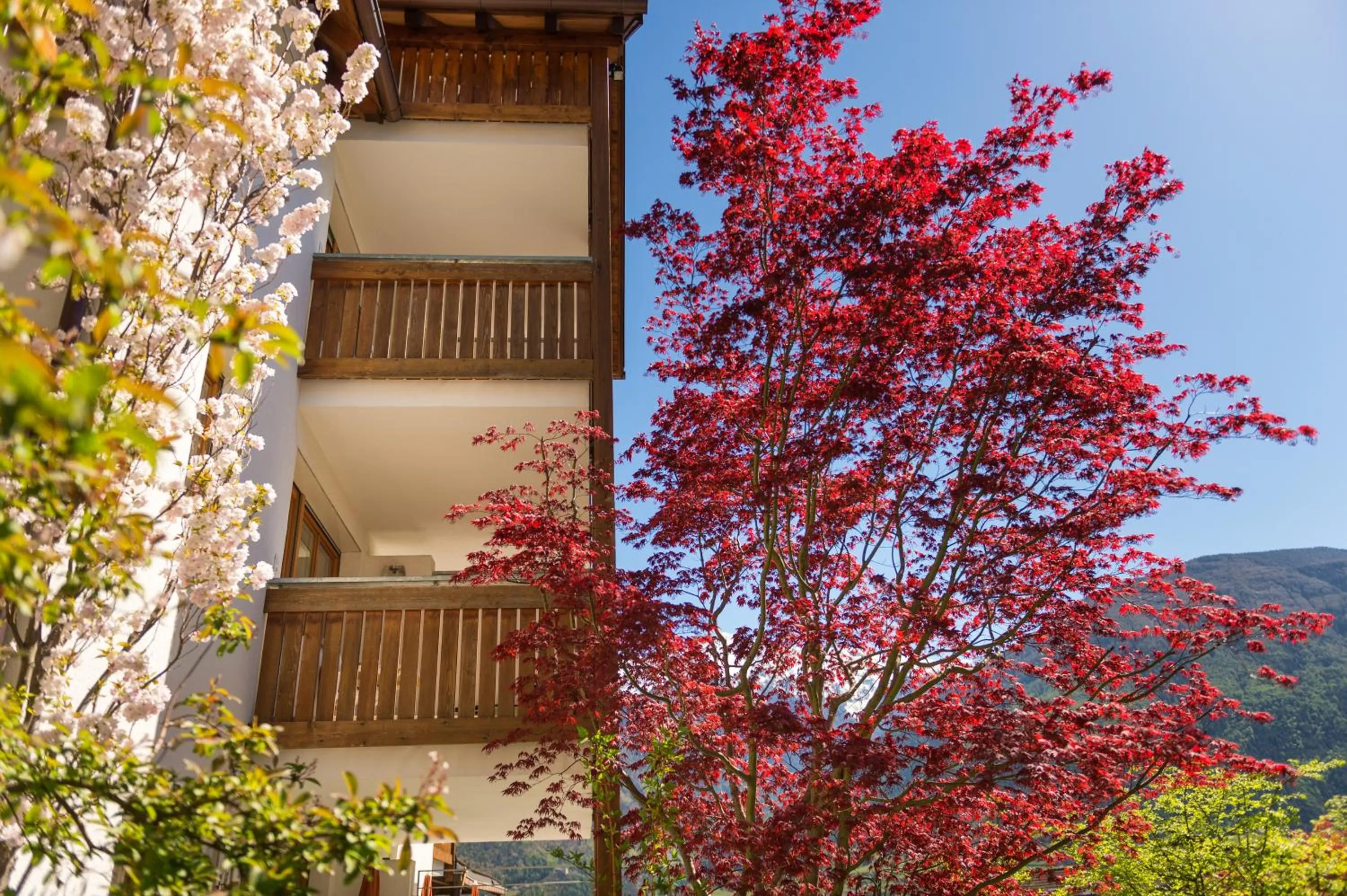 View (from property/room) in Landhaus Fux