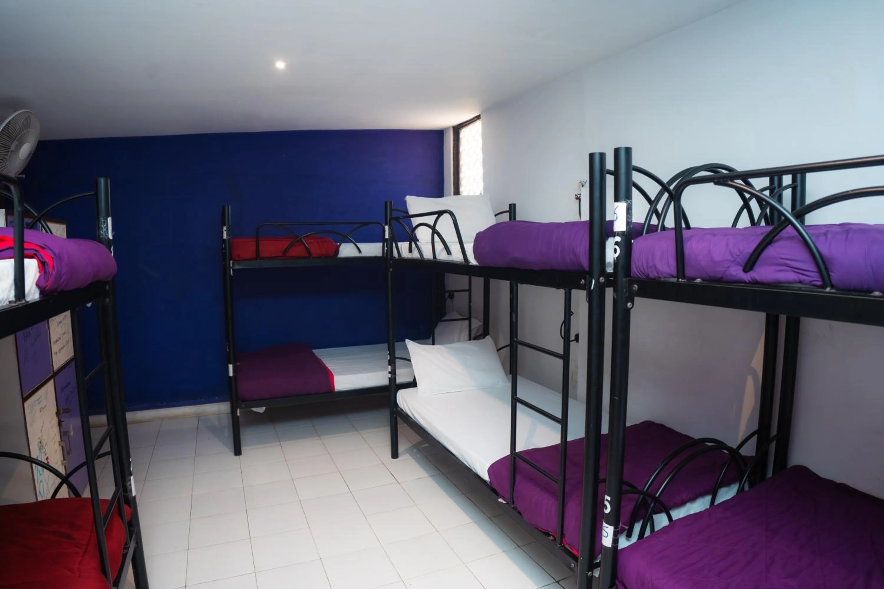 Bed in Joey's Hostel Agra - 200m from Taj Mahal