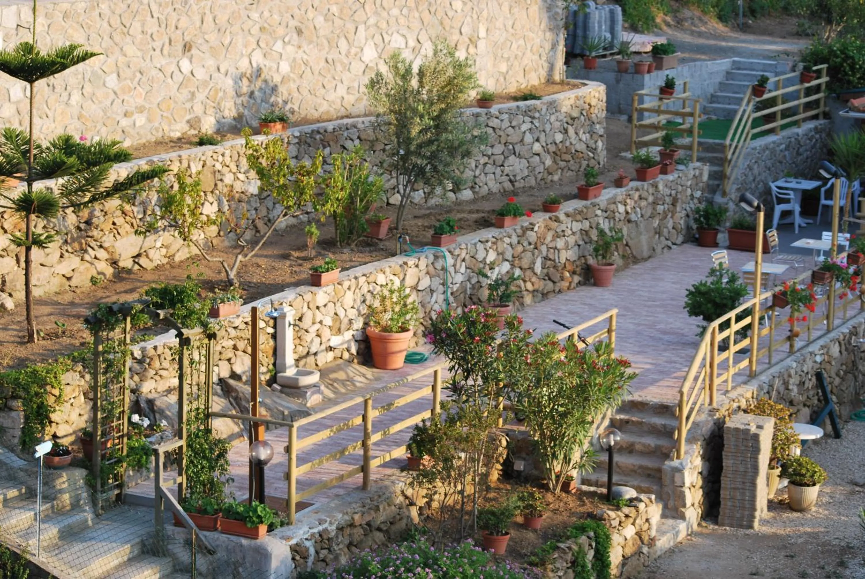 Garden in Hotel Giardino delle Palme