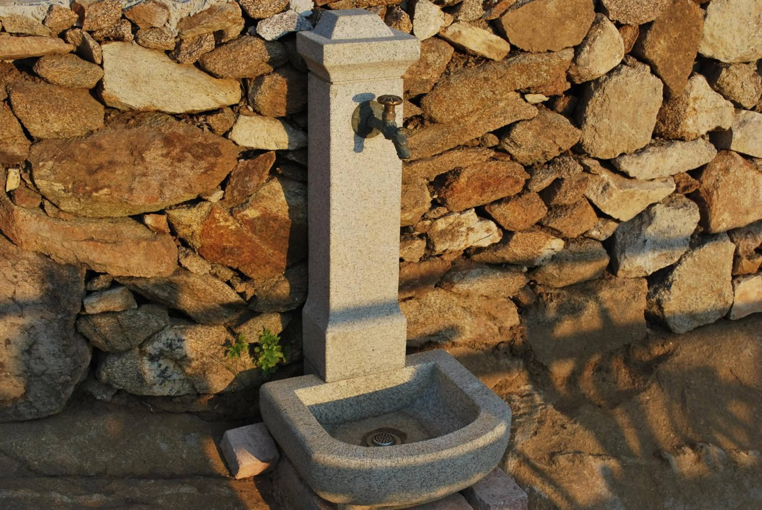 Garden in Hotel Giardino delle Palme