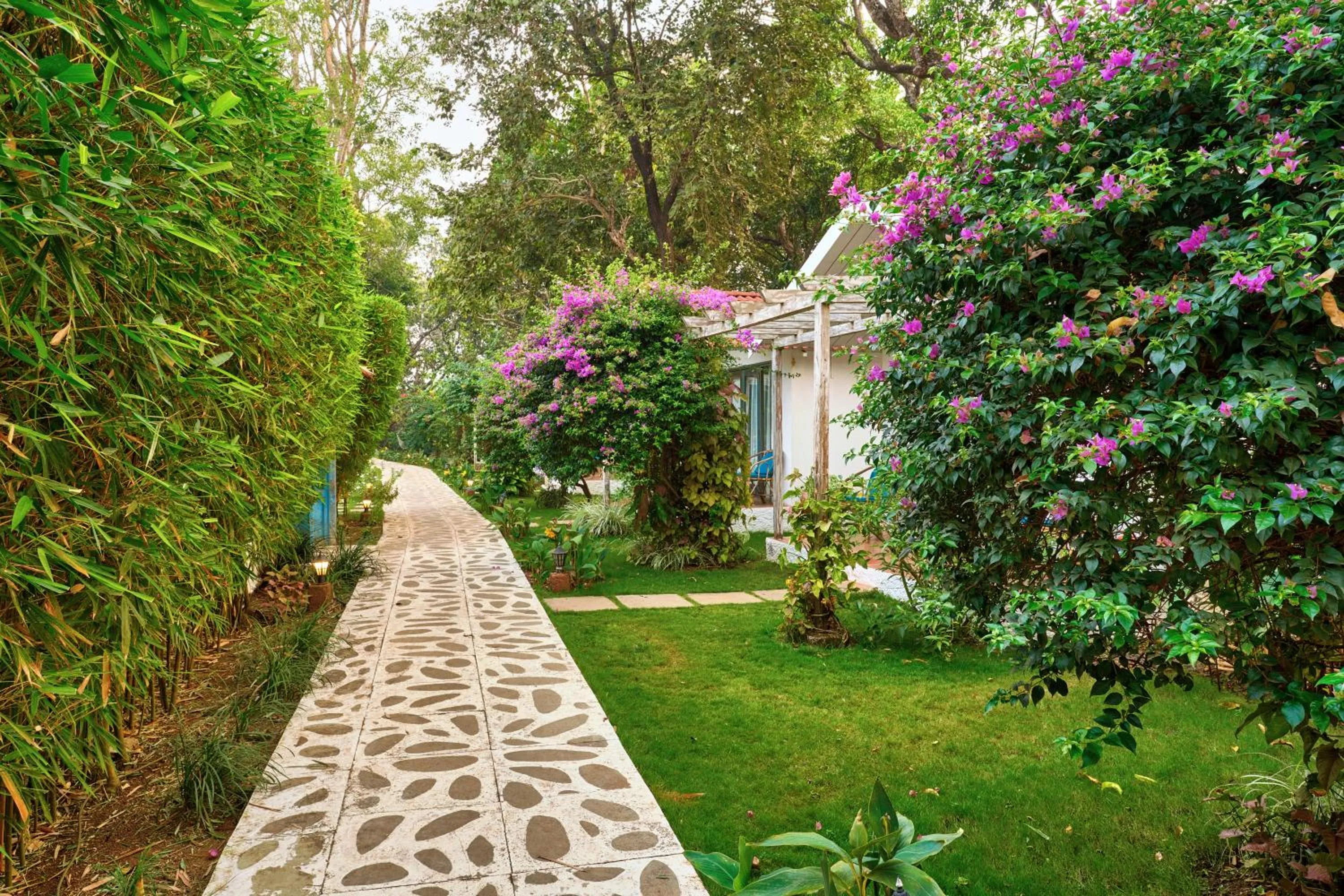 Natural landscape in Blu Resorts