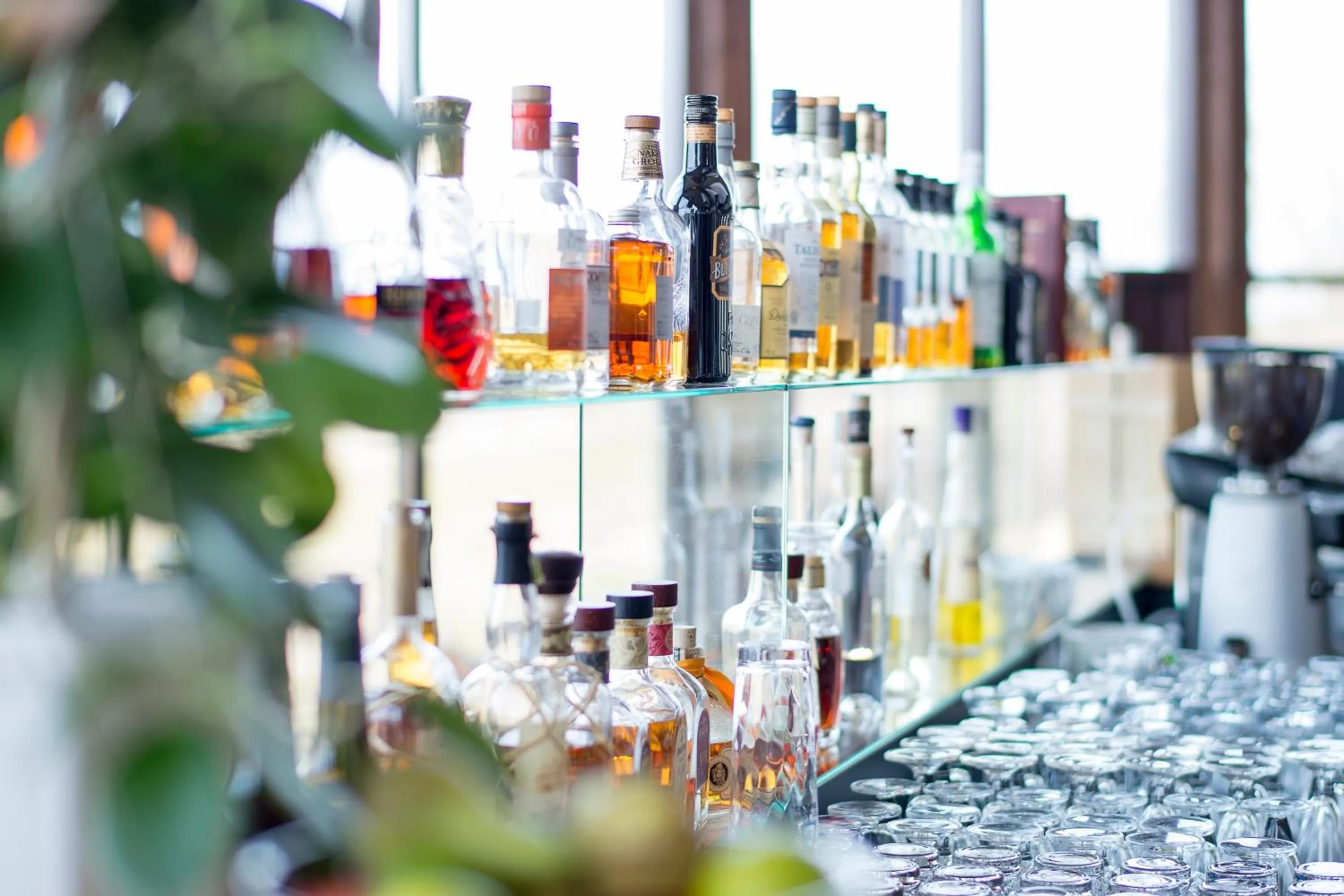 Alcoholic drinks in Ekerum Resort Öland