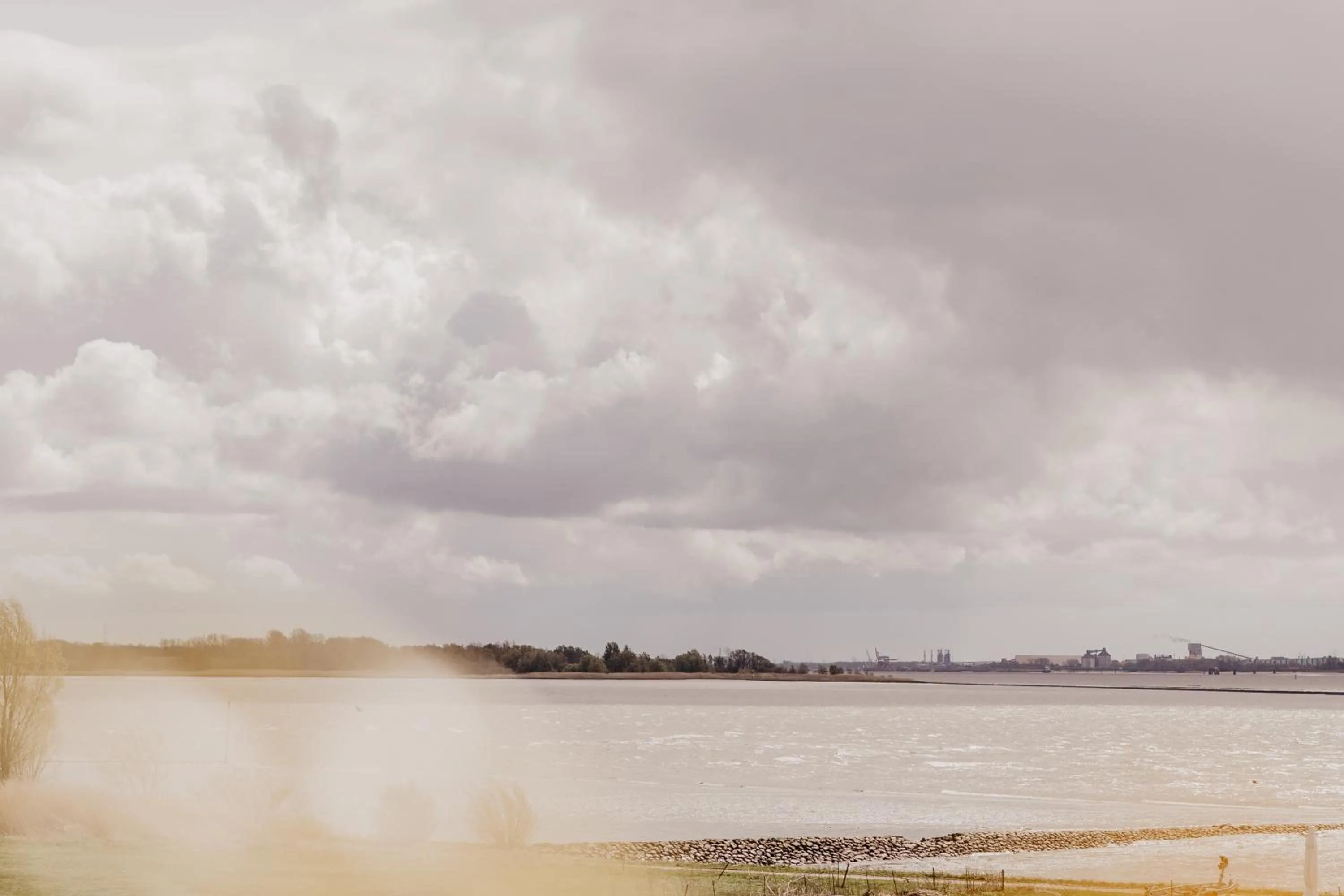 Natural landscape in Fährhaus Kollmar