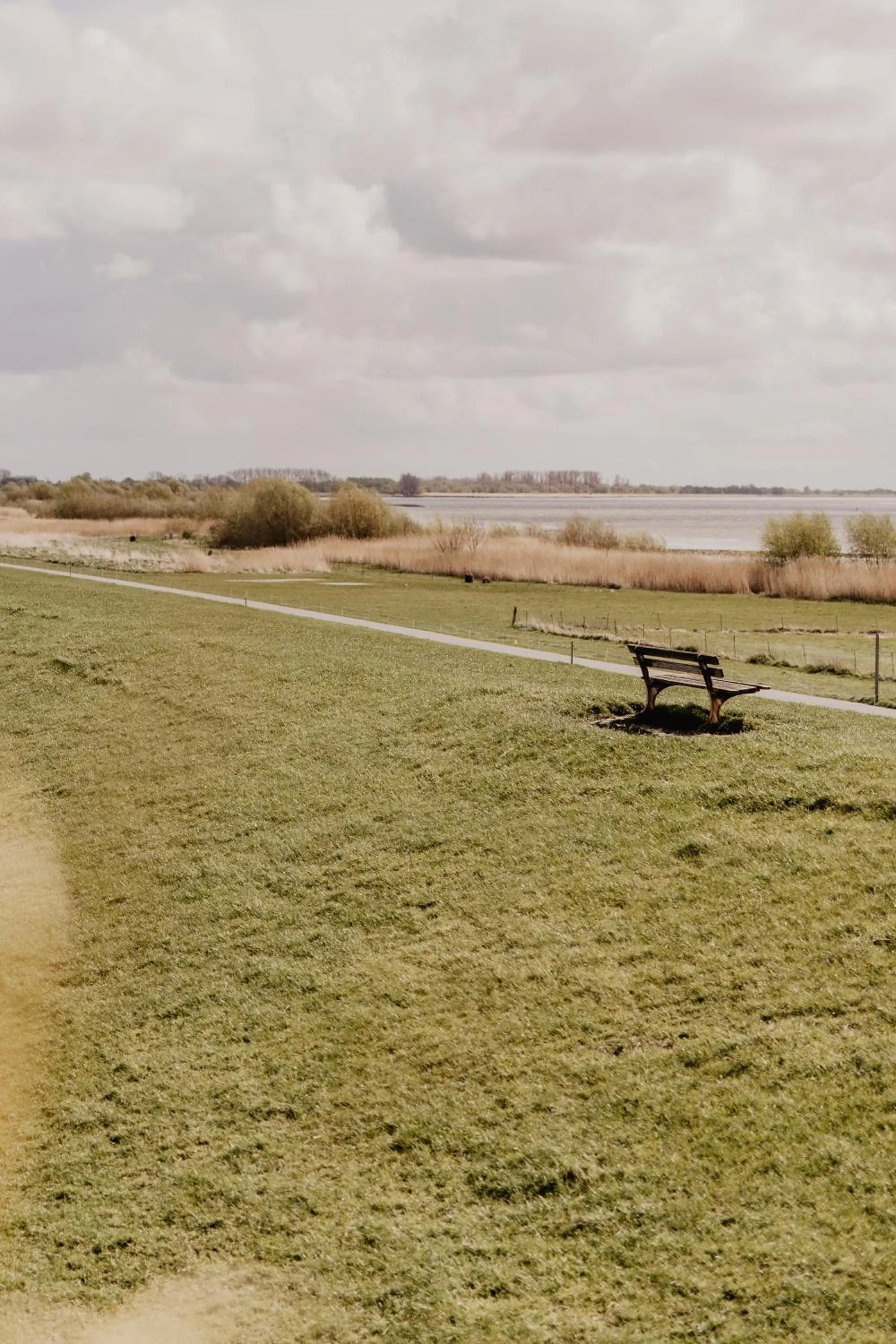 Natural landscape in Fährhaus Kollmar