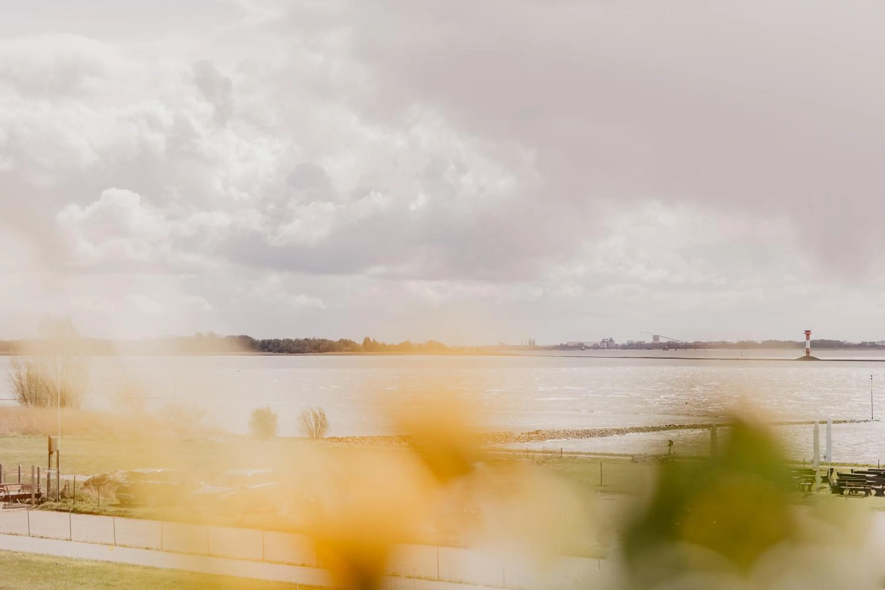 Natural landscape in Fährhaus Kollmar