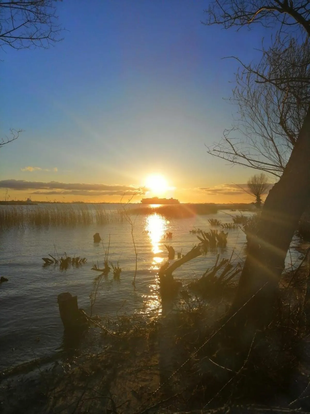 Natural landscape in Fährhaus Kollmar