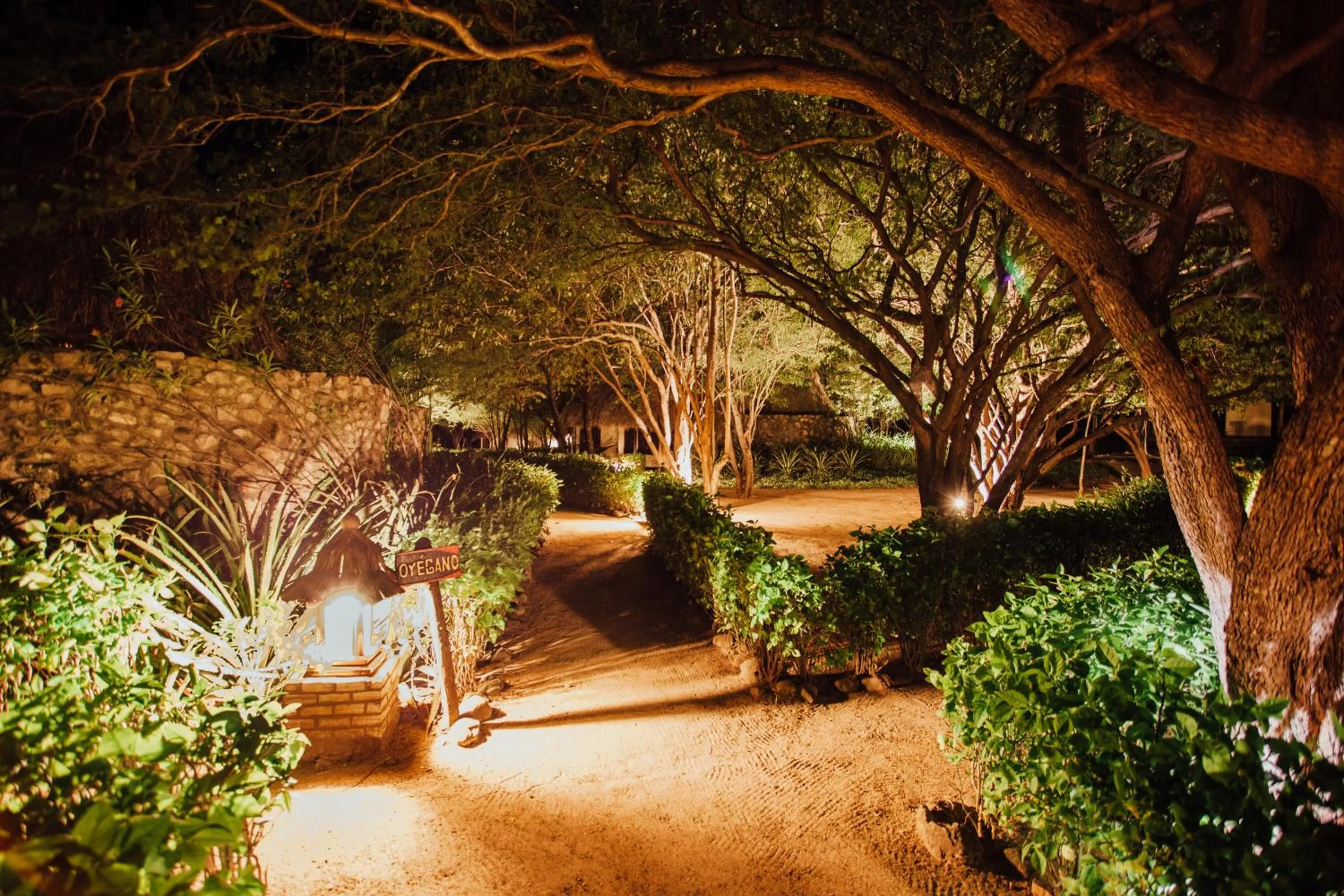 Natural landscape in Punta Teonoste Beach Resort