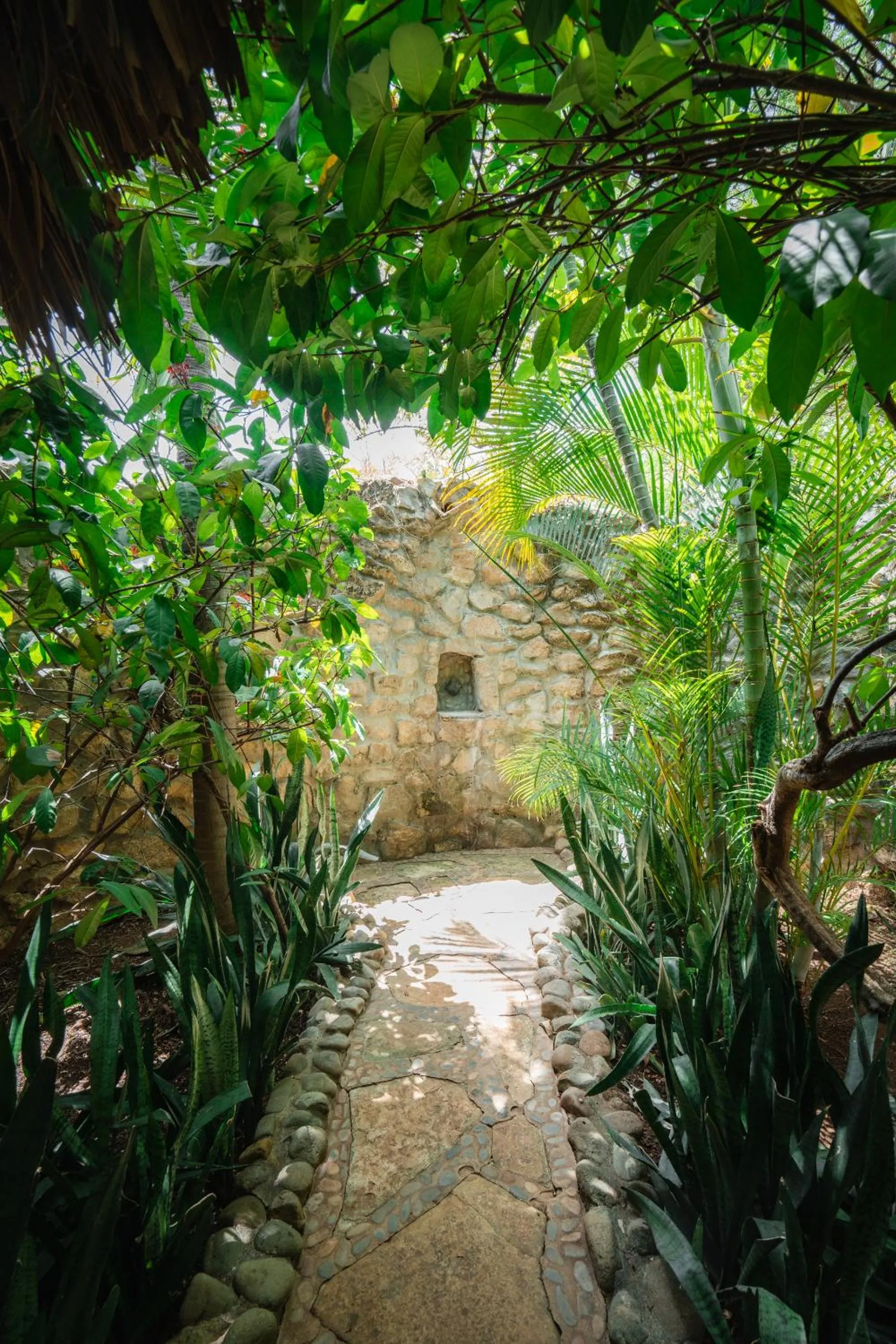 Spring in Punta Teonoste Beach Resort