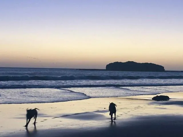 Punta Teonoste Beach Resort