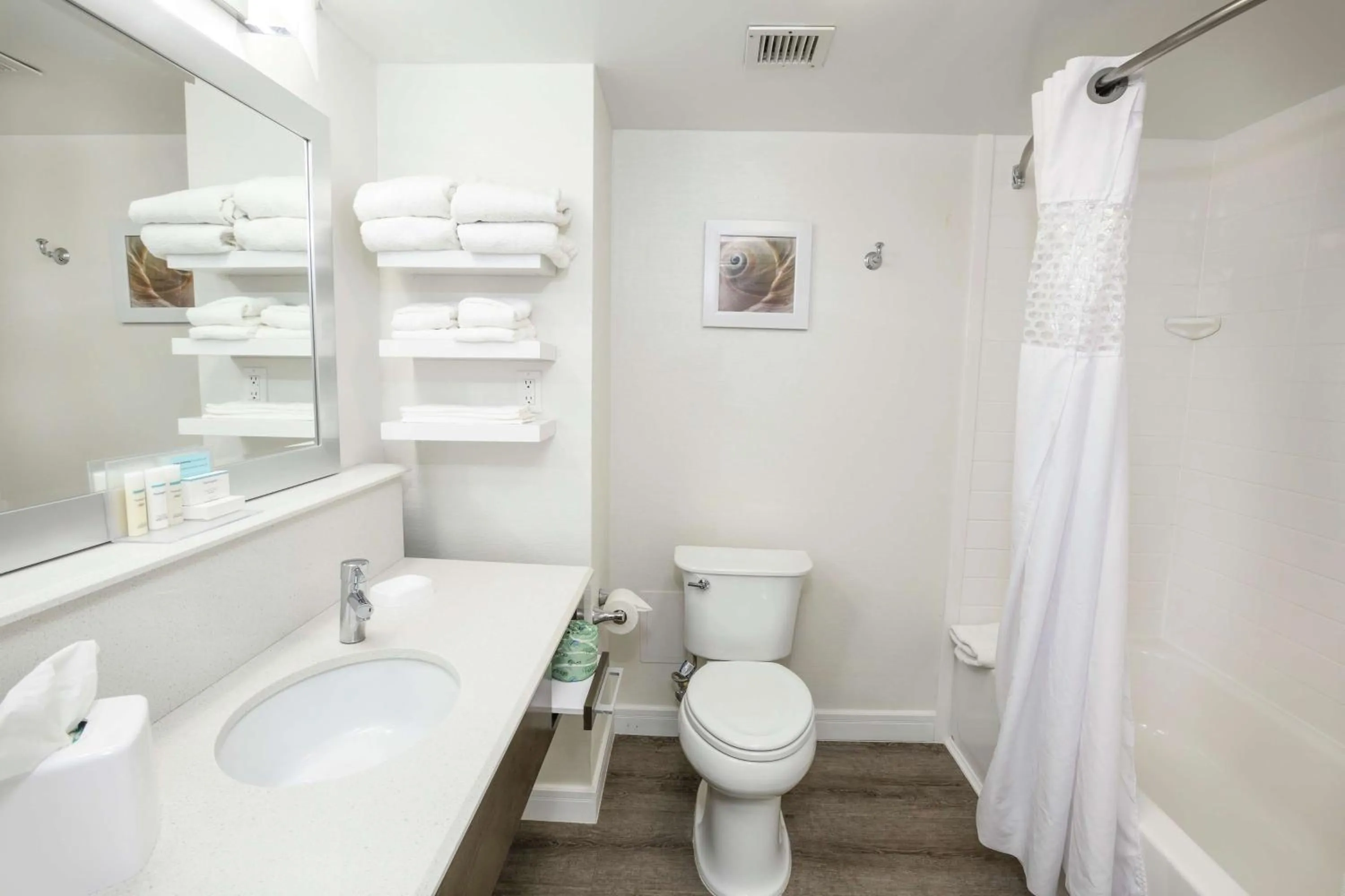 Bathroom in Hampton Inn Jacksonville - East Regency Square