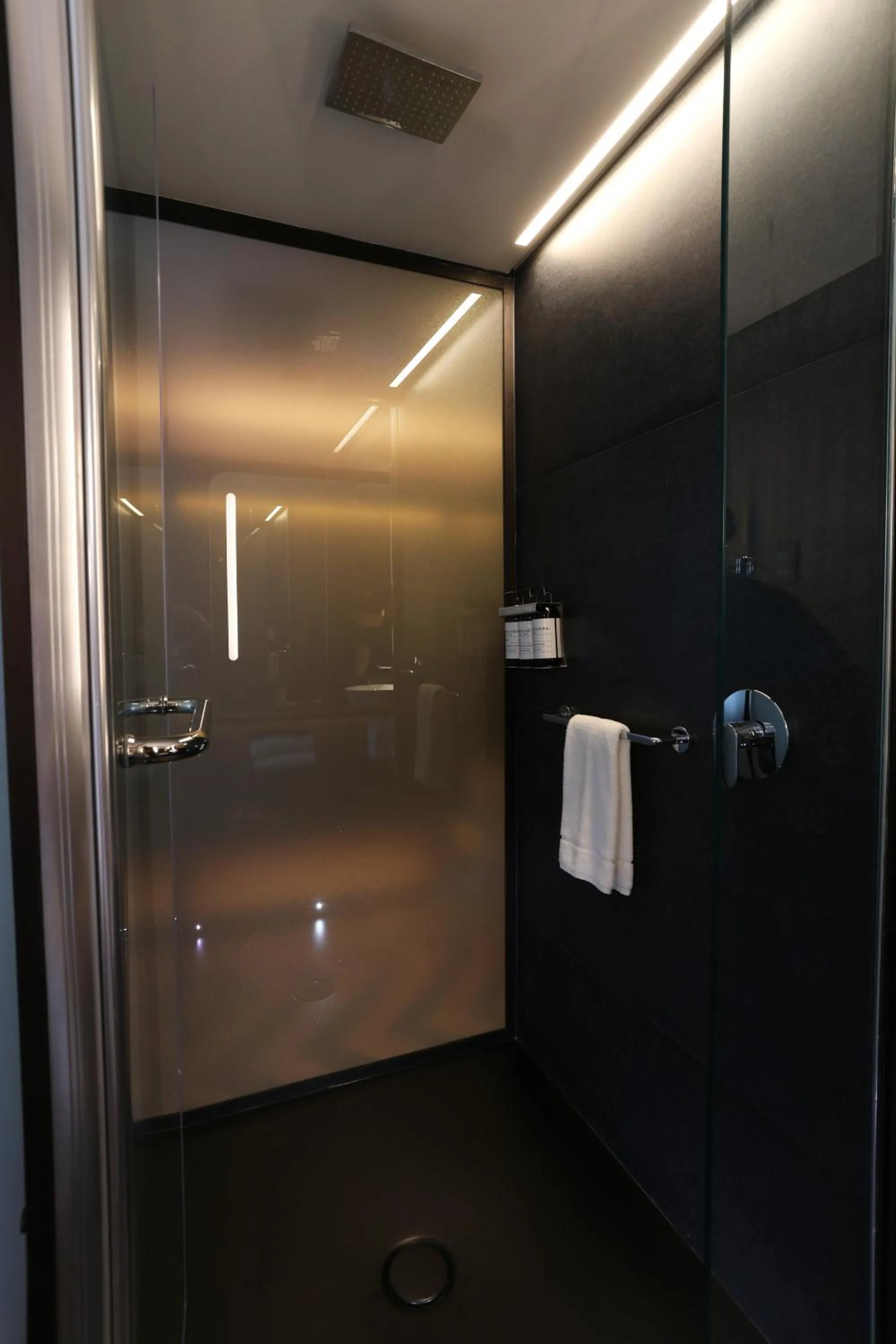 Shower in Recoleta Grand, Buenos Aires, a Tribute Portfolio Hotel