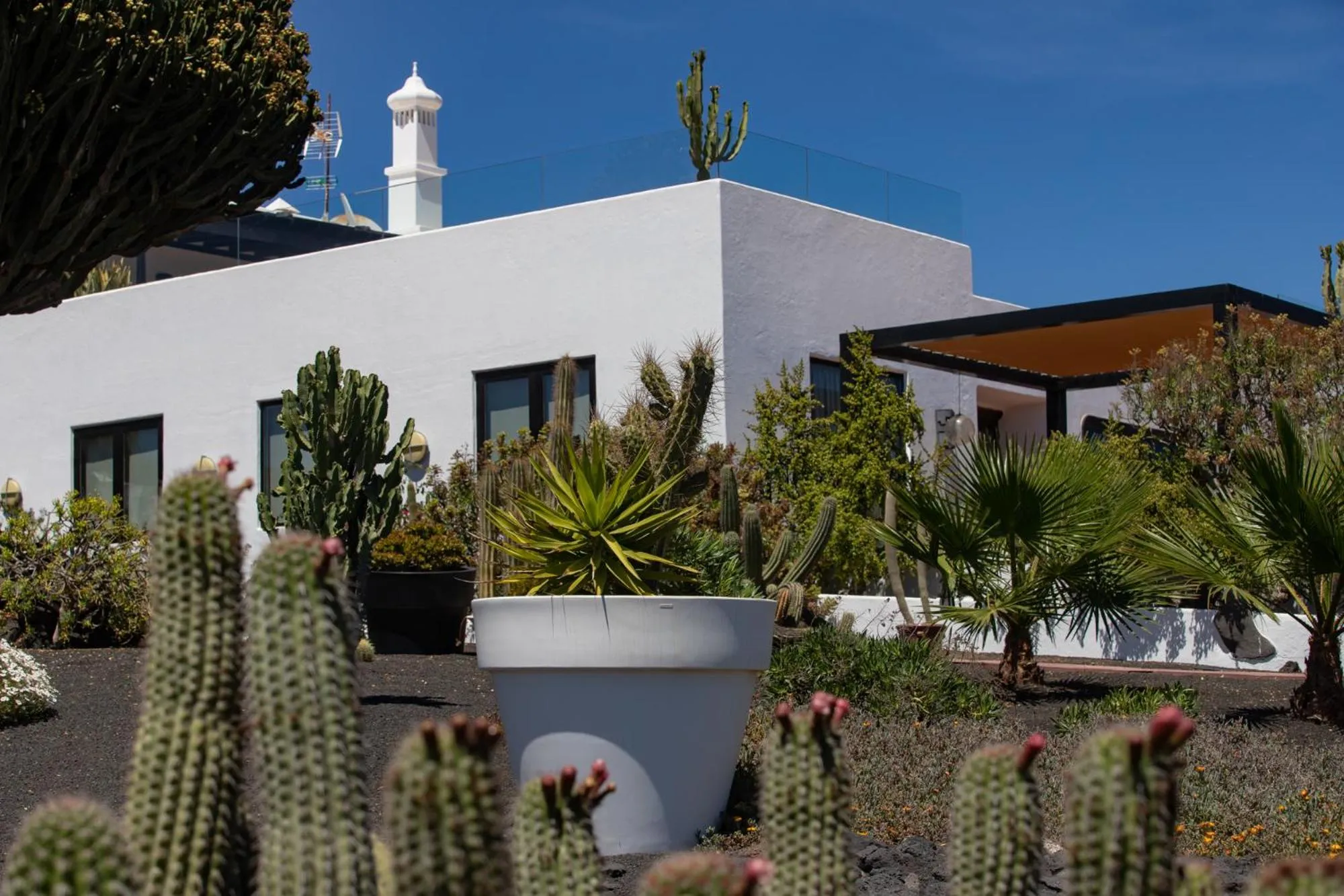 Garden in 5 Suites Lanzarote