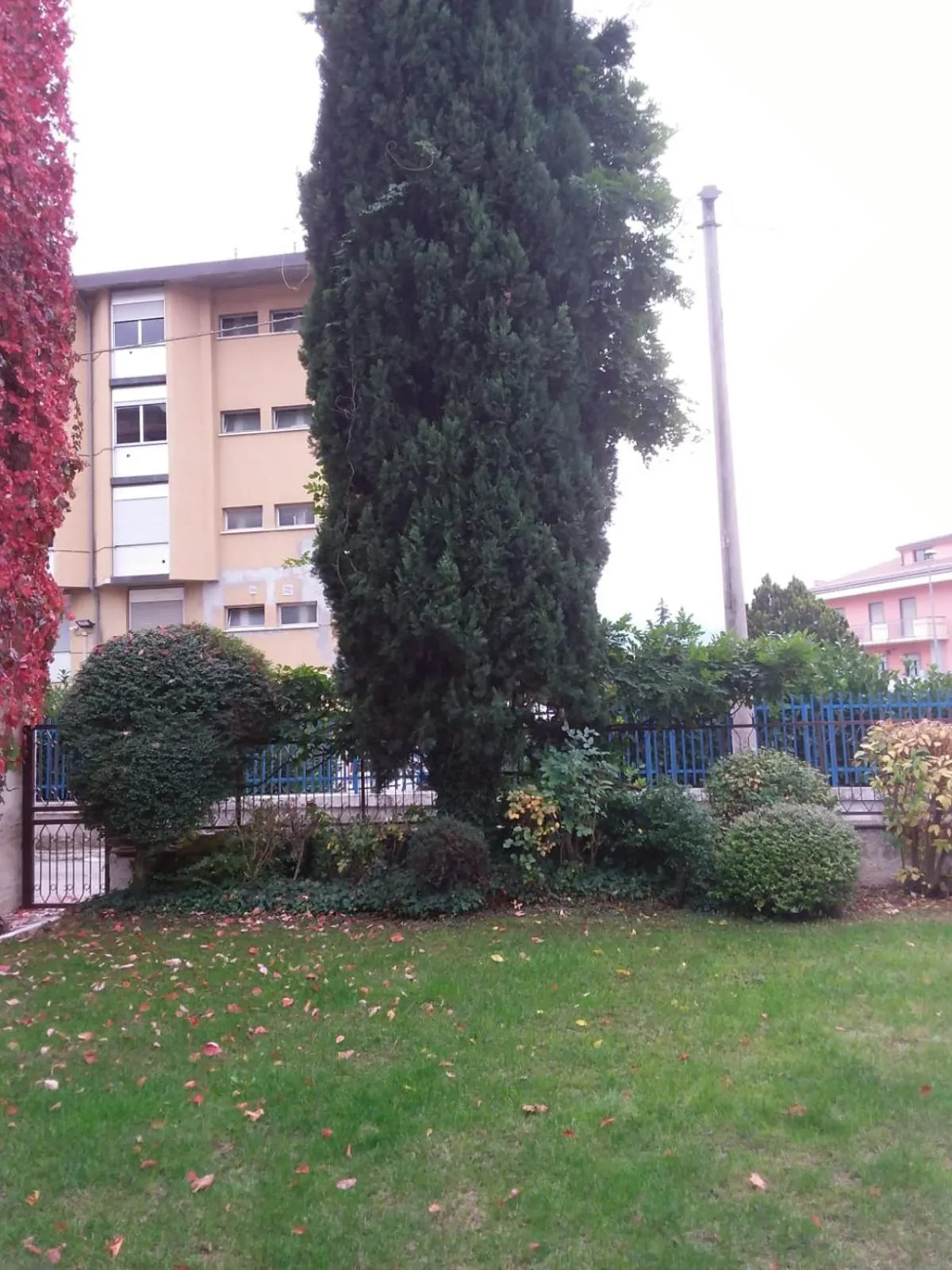 Garden in Maison Lavande