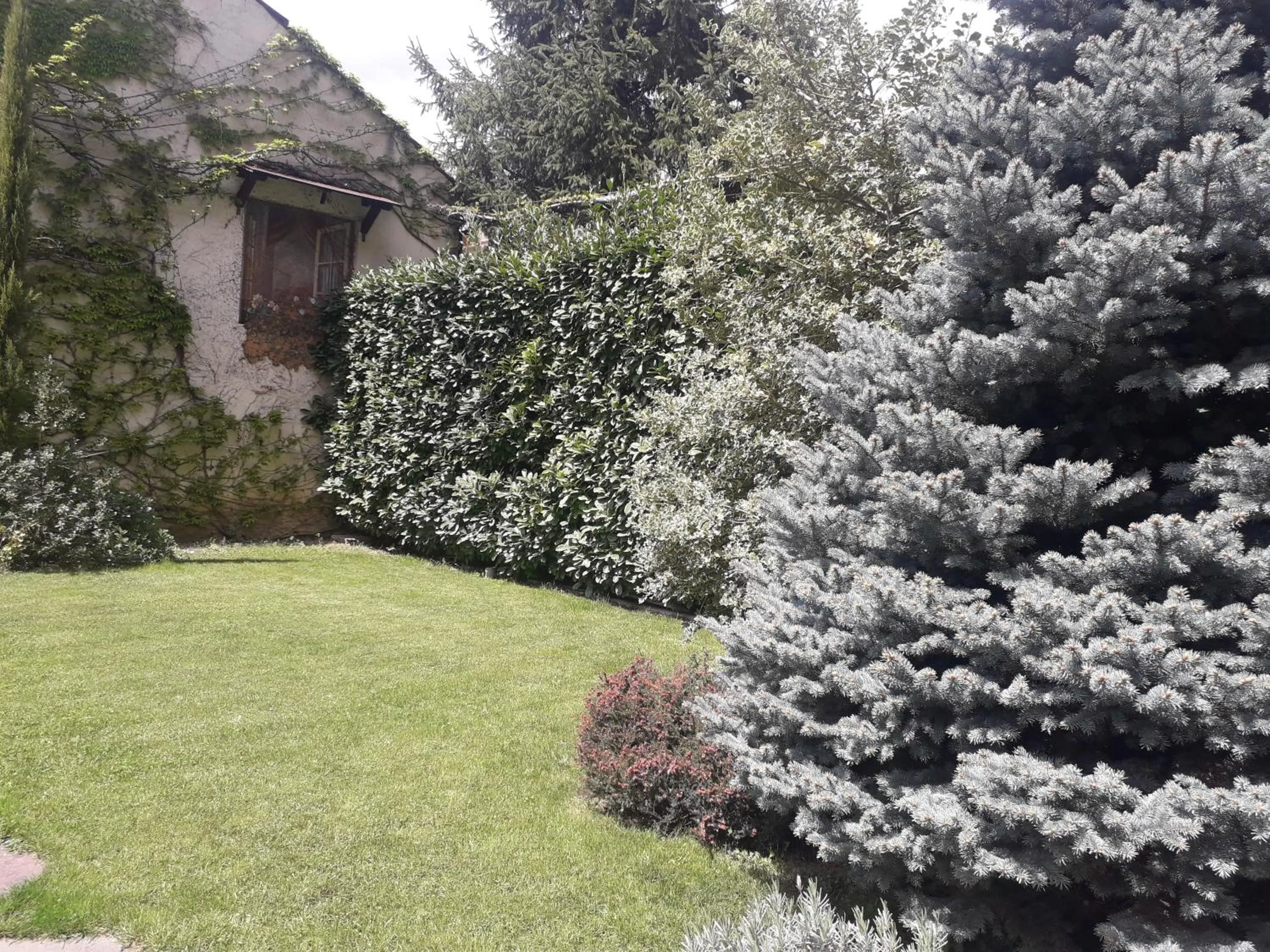 Garden in Maison Lavande