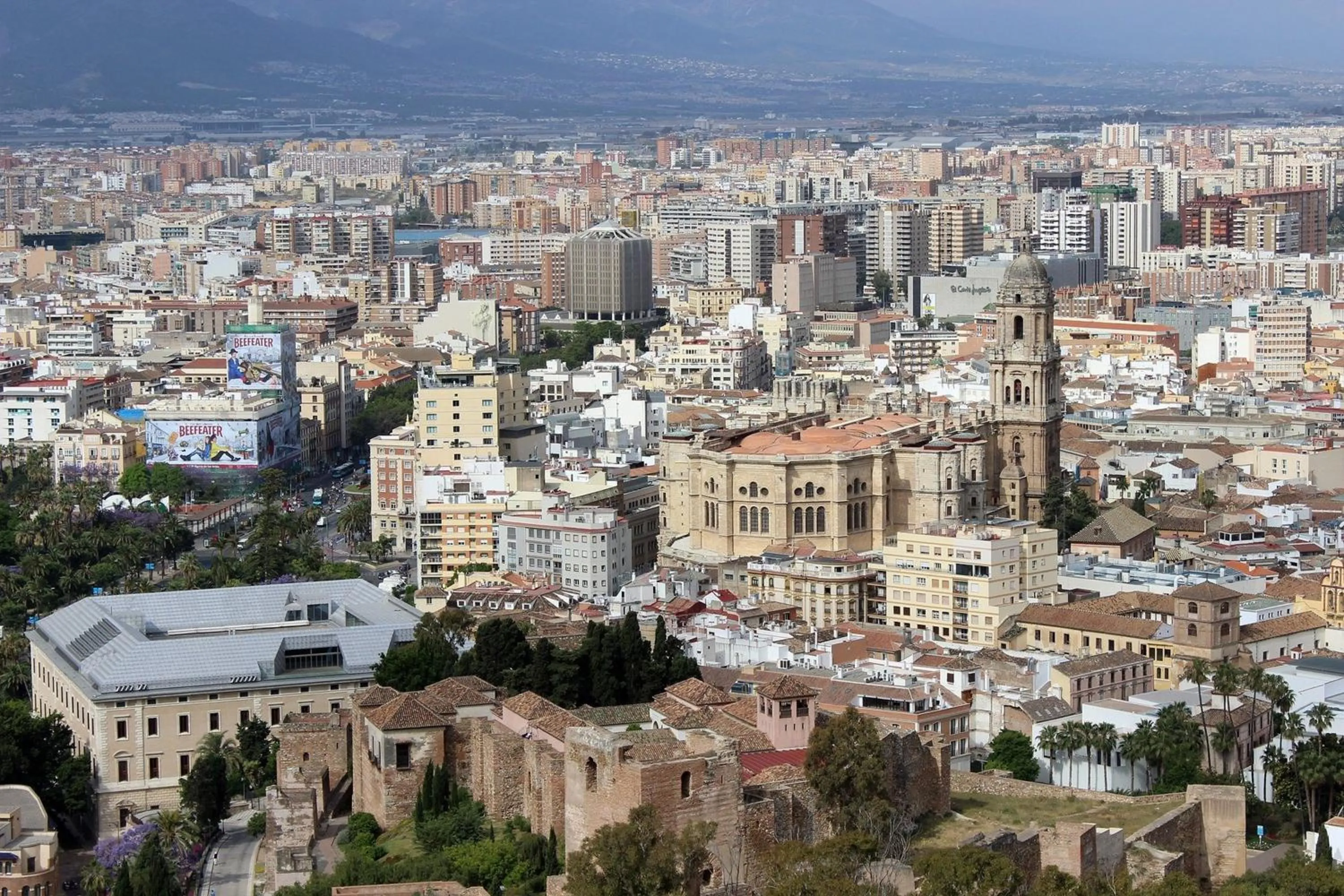 Neighbourhood in Del Parque Flats - Premium - Maestre