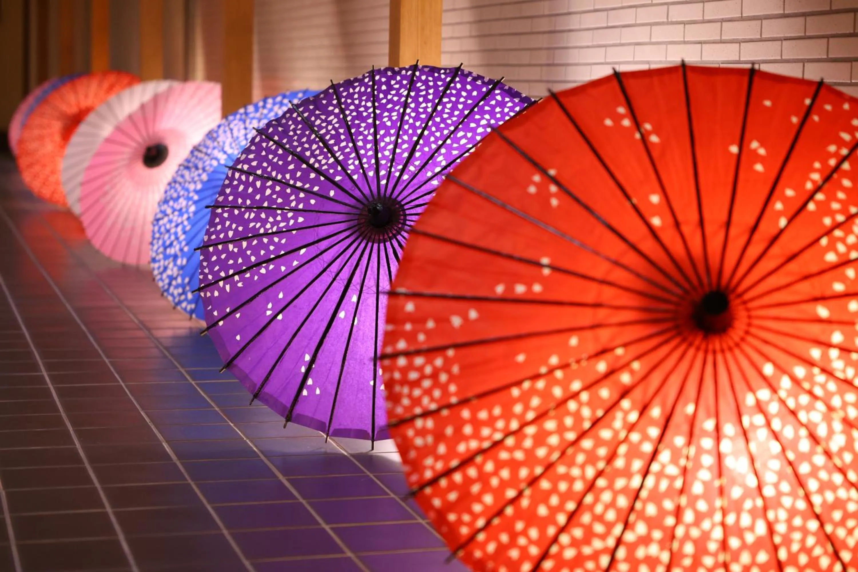 Area and facilities in Oku Yugawara SANSUIROU