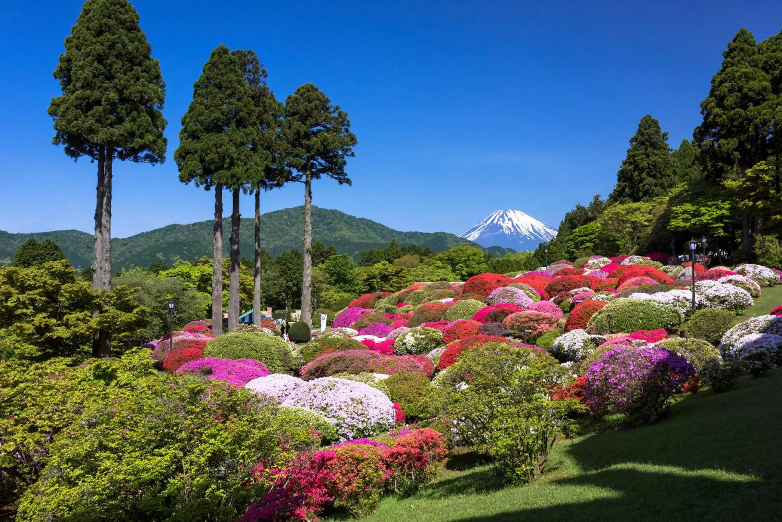 Nearby landmark in Oku Yugawara SANSUIROU