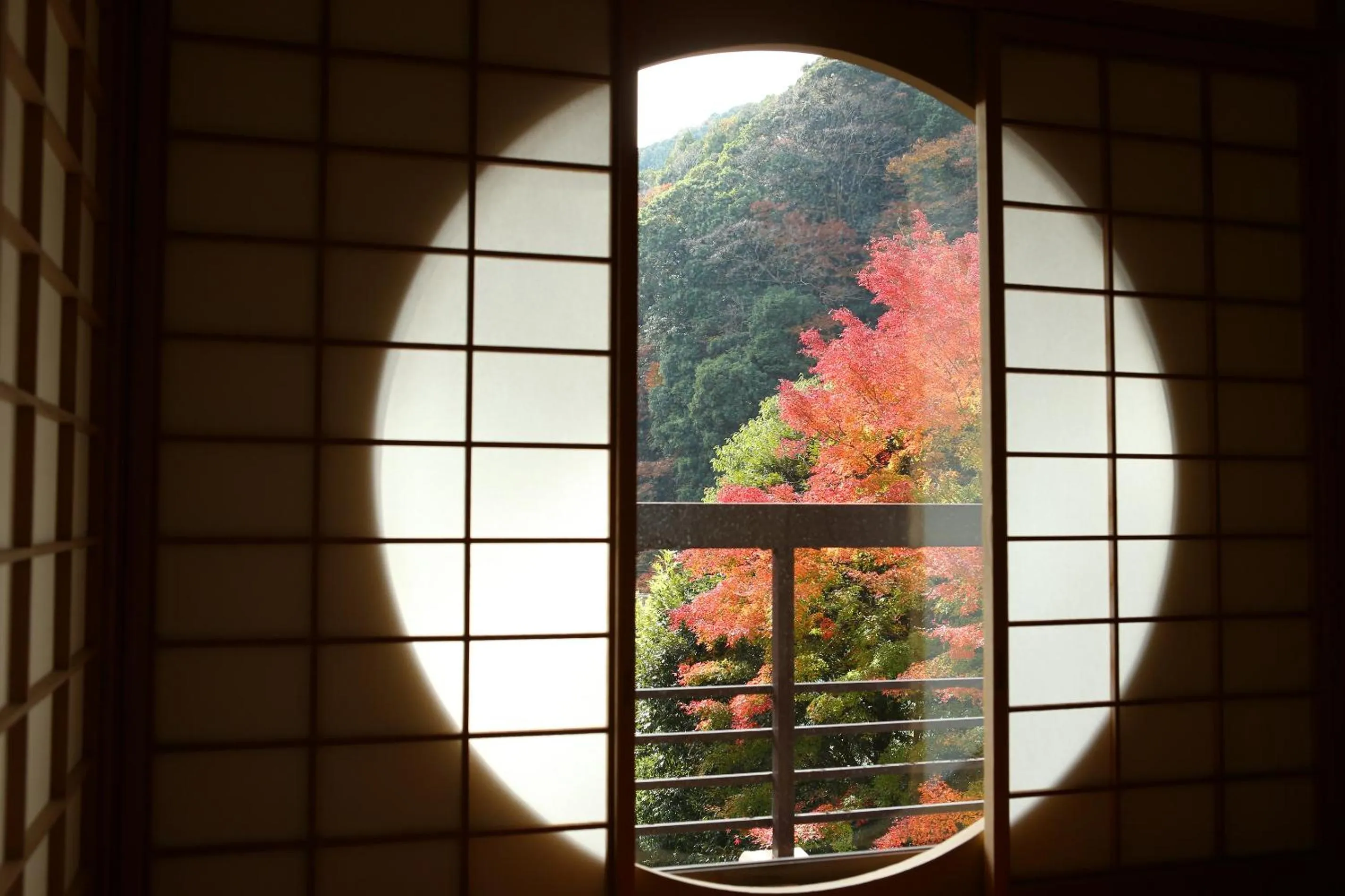 View (from property/room) in Oku Yugawara SANSUIROU