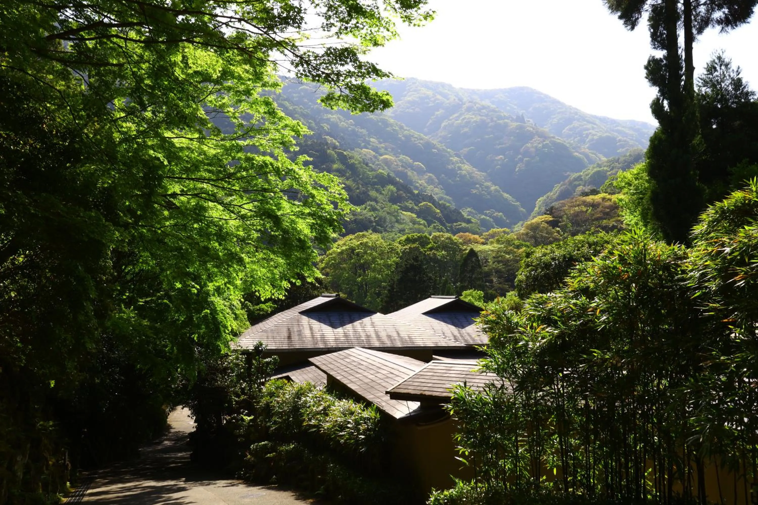 View (from property/room) in Oku Yugawara Tsubaki