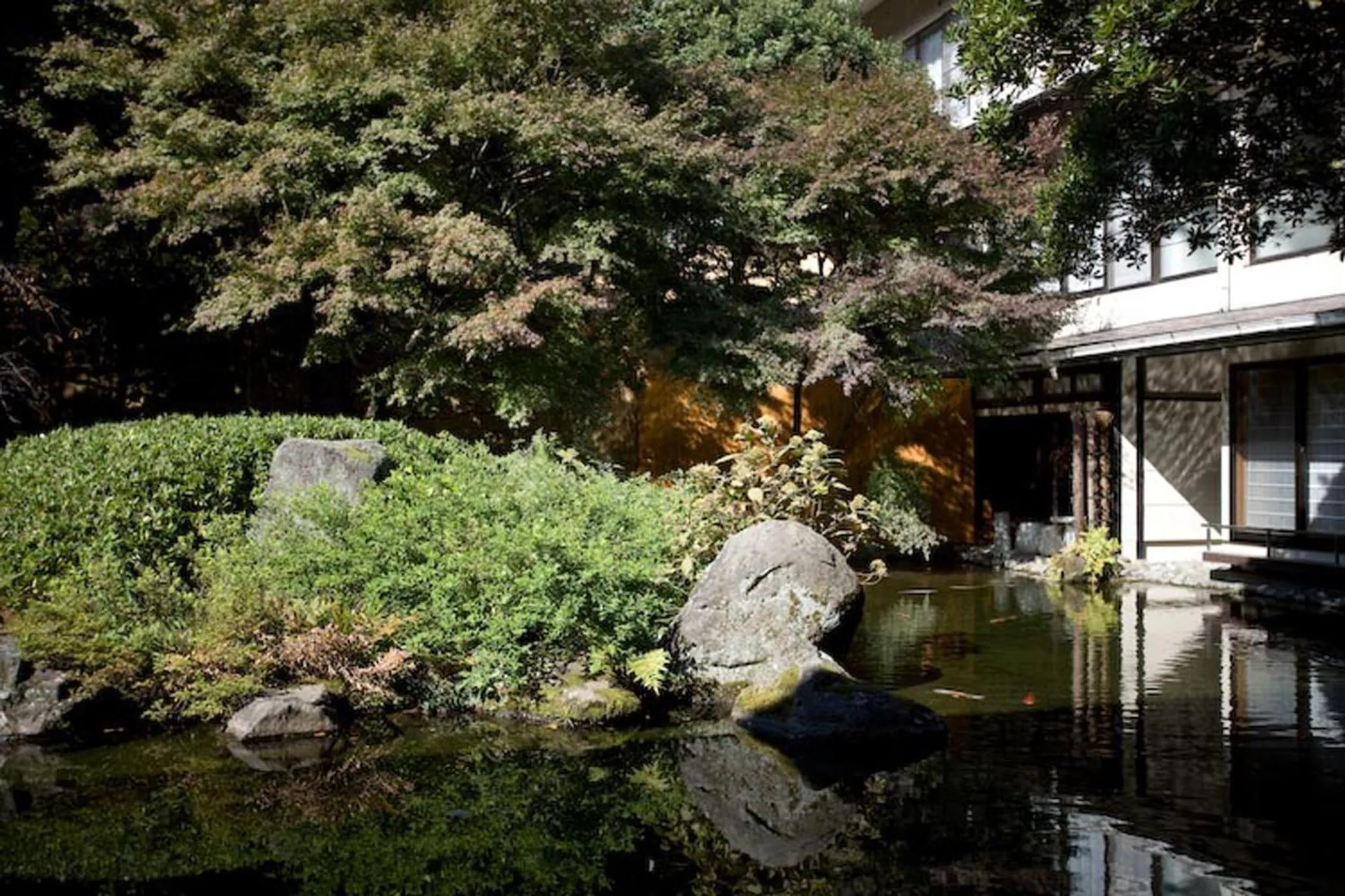 Garden in Oku Yugawara Tsubaki