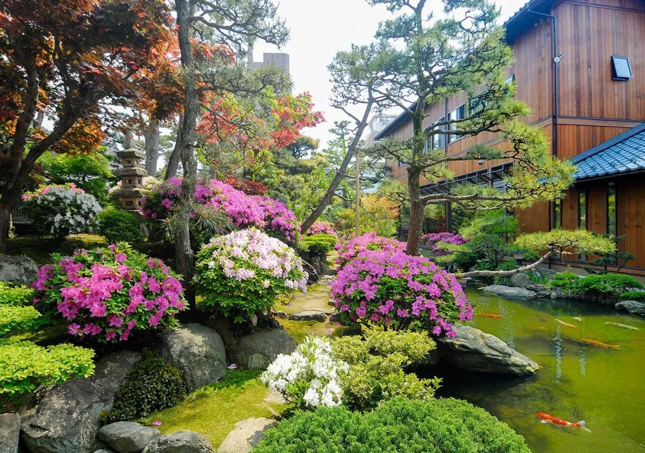 Property building in Haiya Property building in Haiya