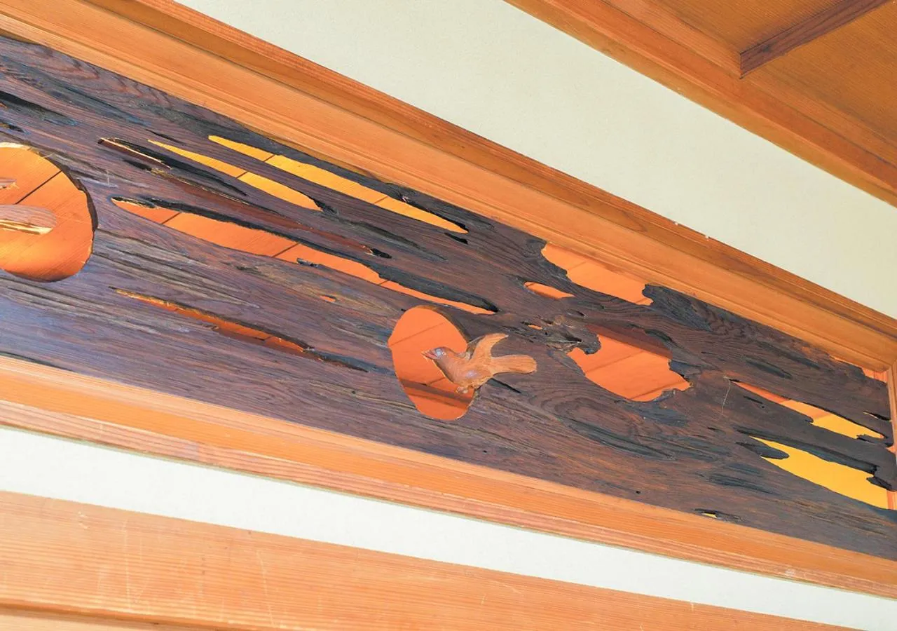 Photo of the whole room in Haiya