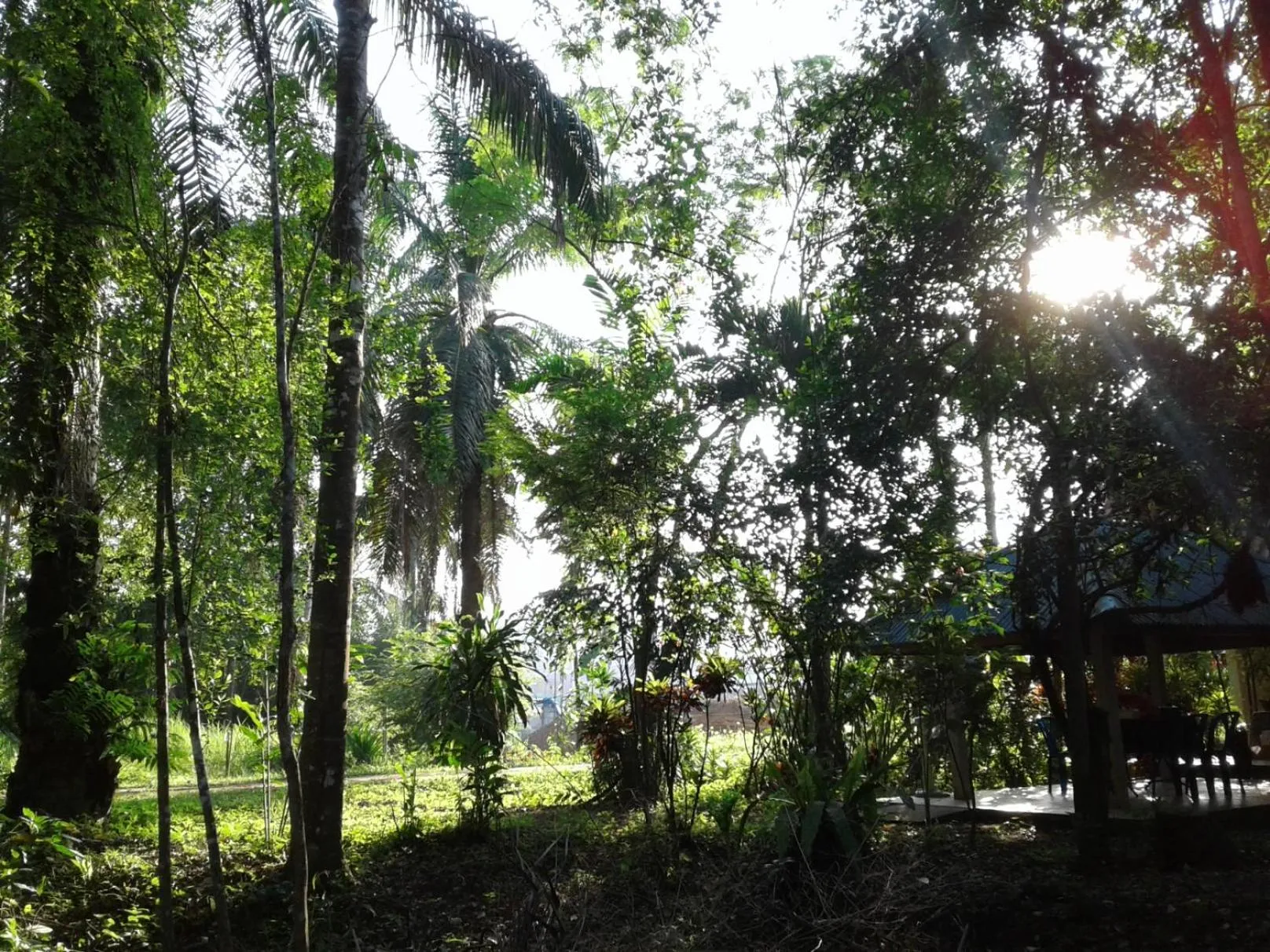 Suan Bang Bon Guest House