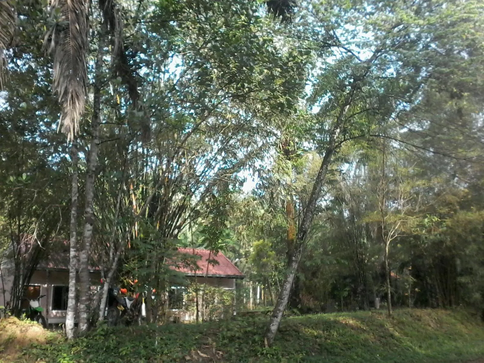 Suan Bang Bon Guest House