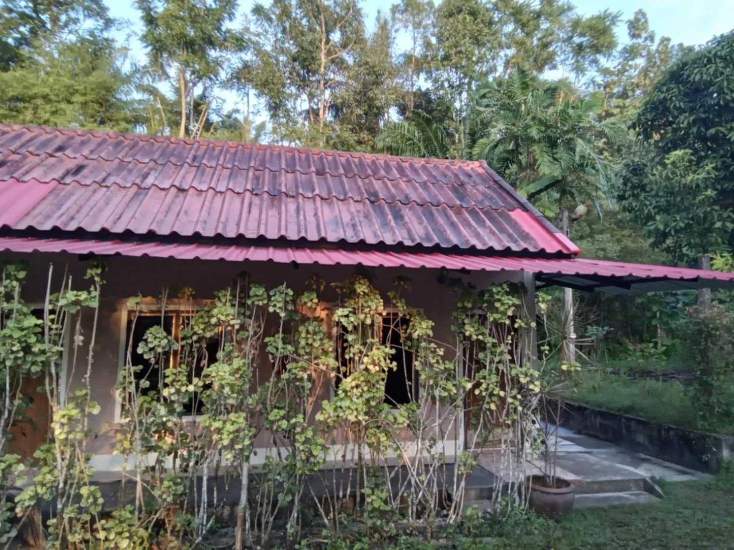 Suan Bang Bon Guest House