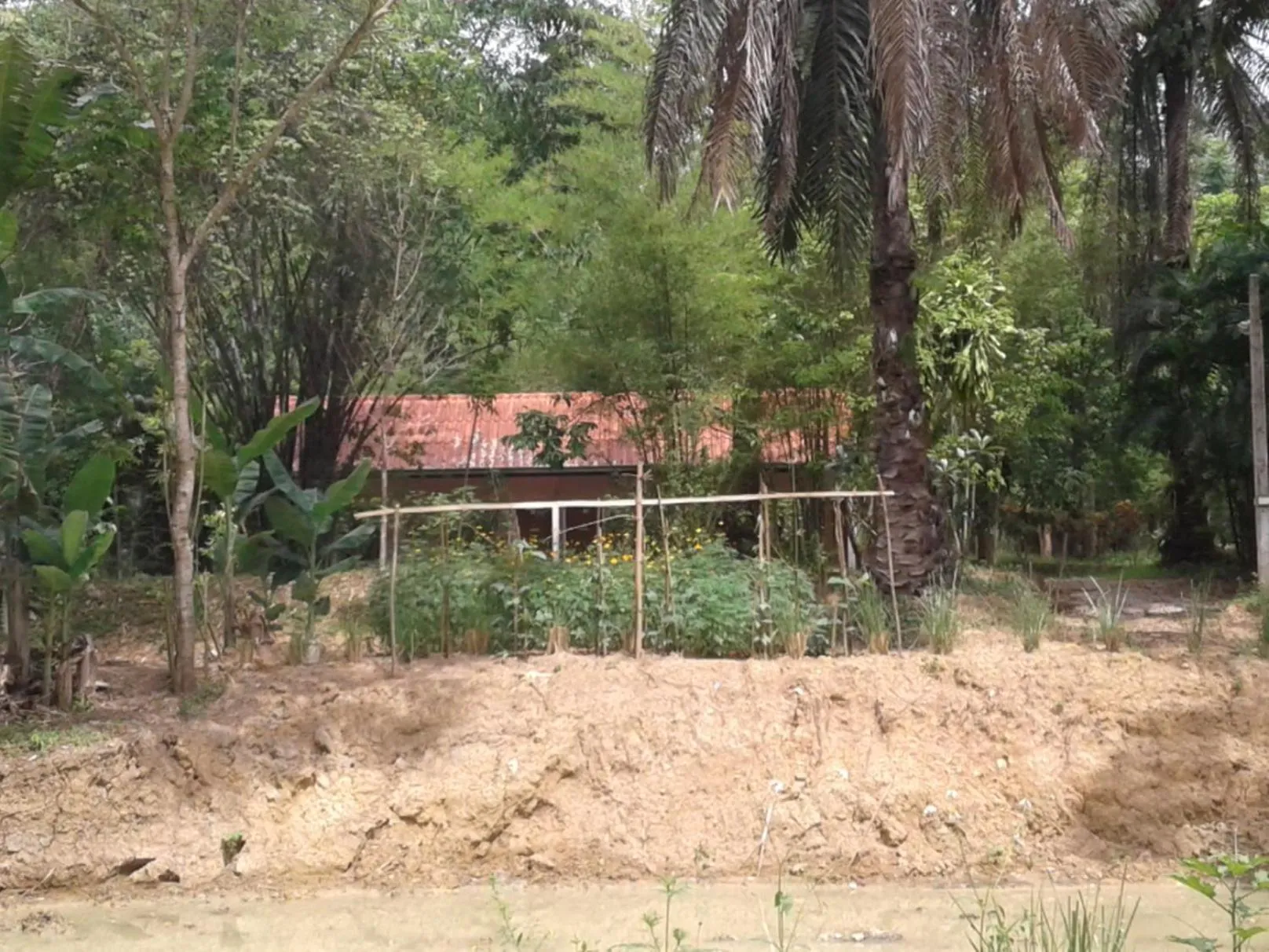 Suan Bang Bon Guest House