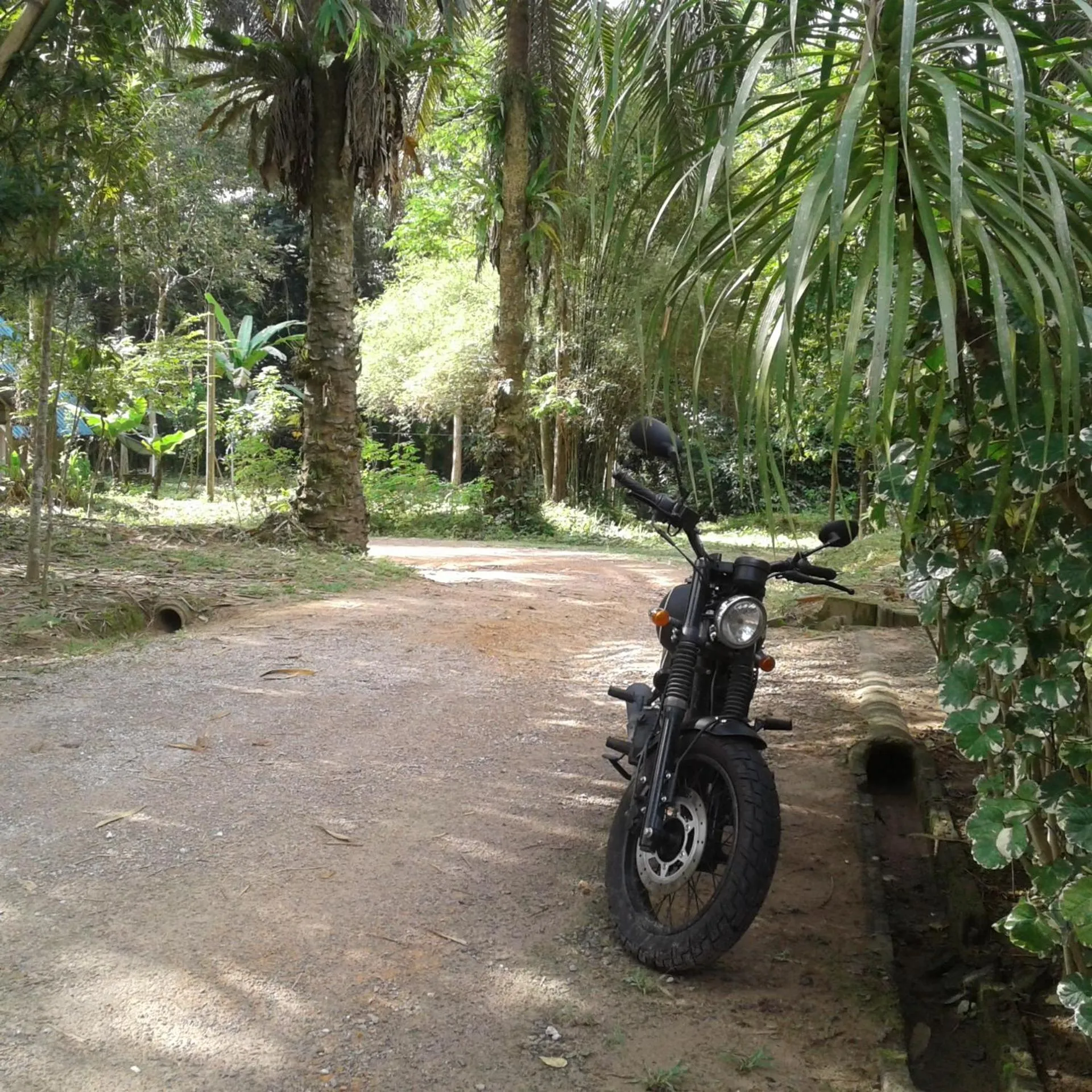 Suan Bang Bon Guest House