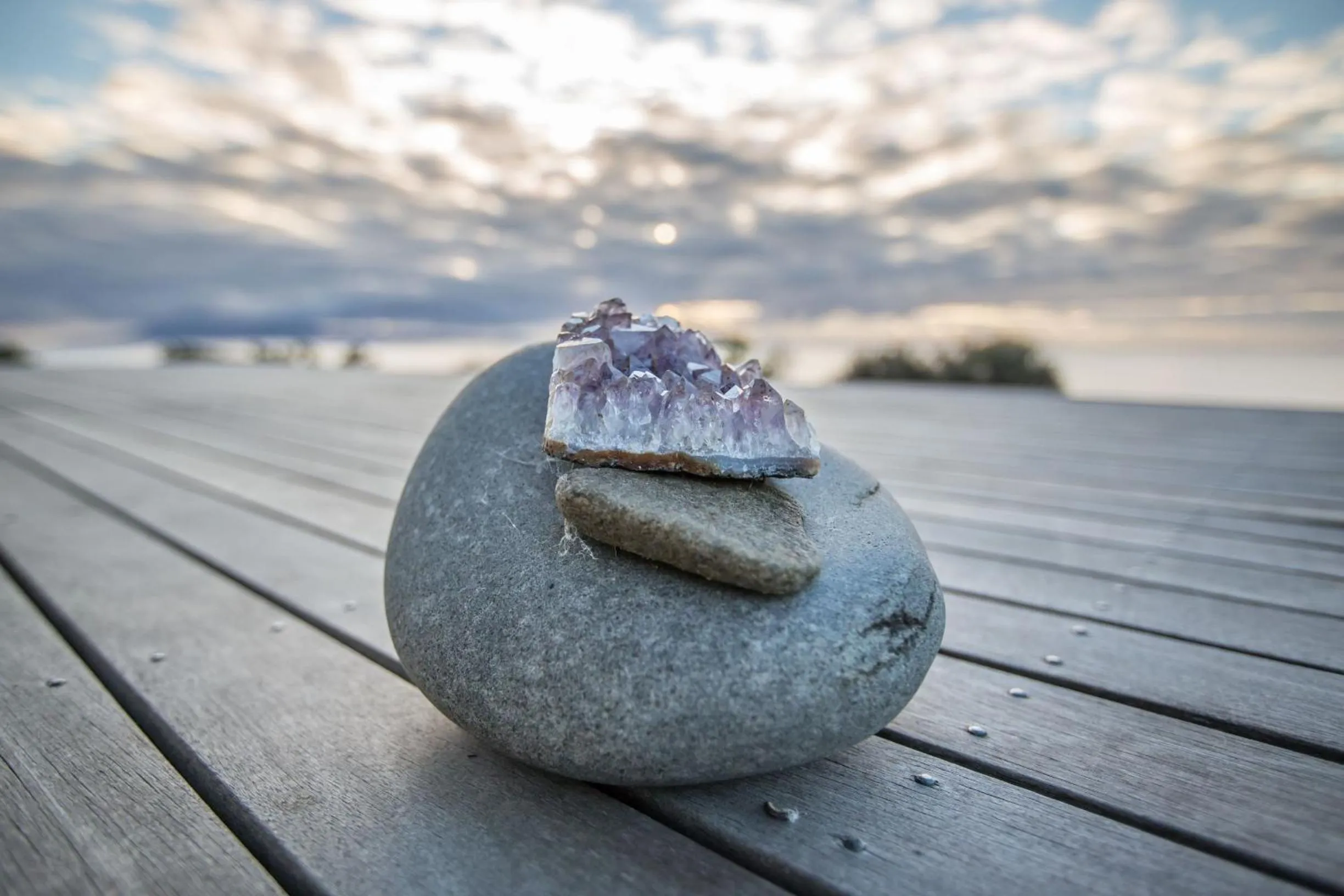 Natural landscape in Avalon Coastal Retreat