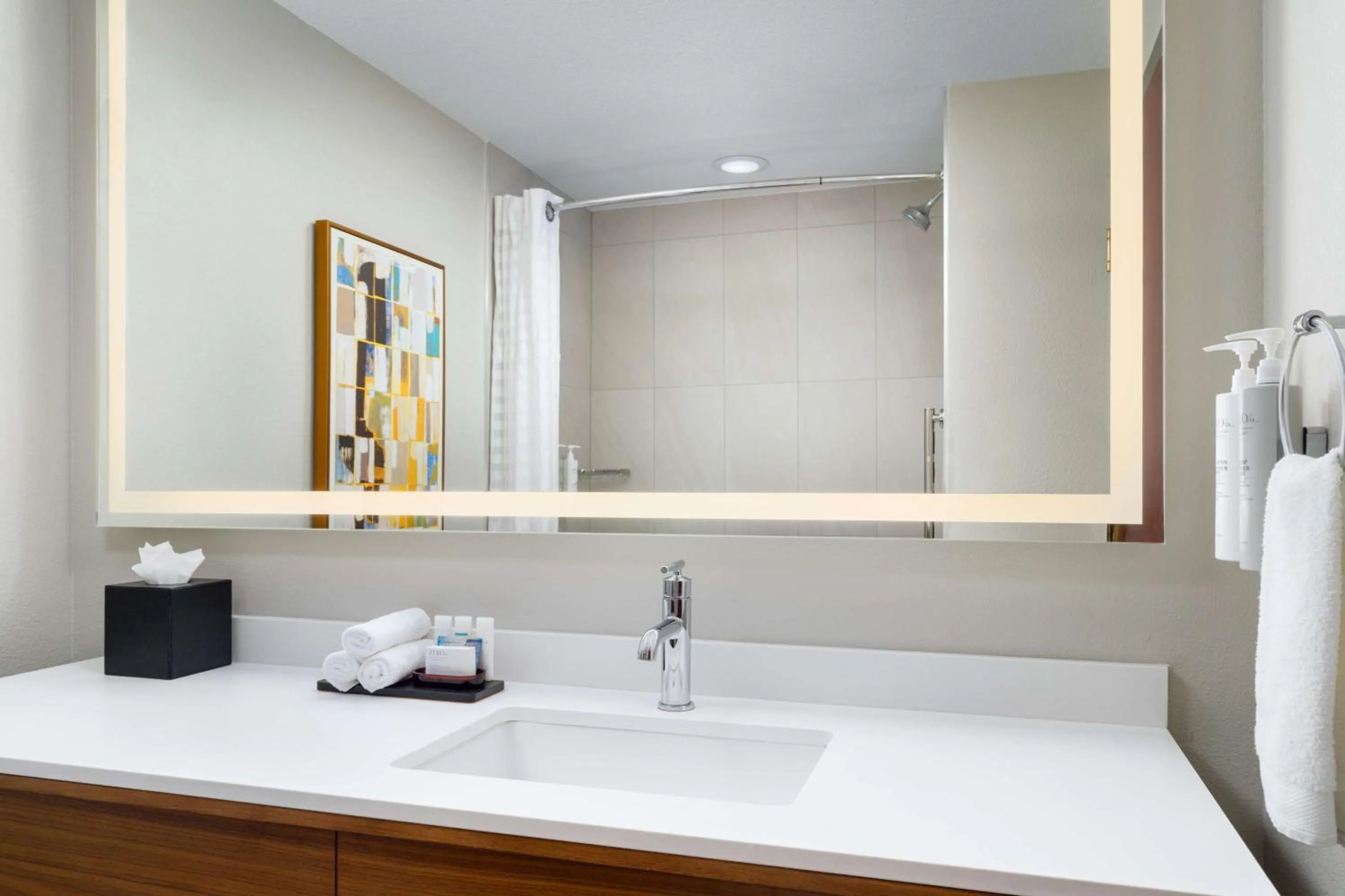 Bathroom in Embassy Suites Lincoln