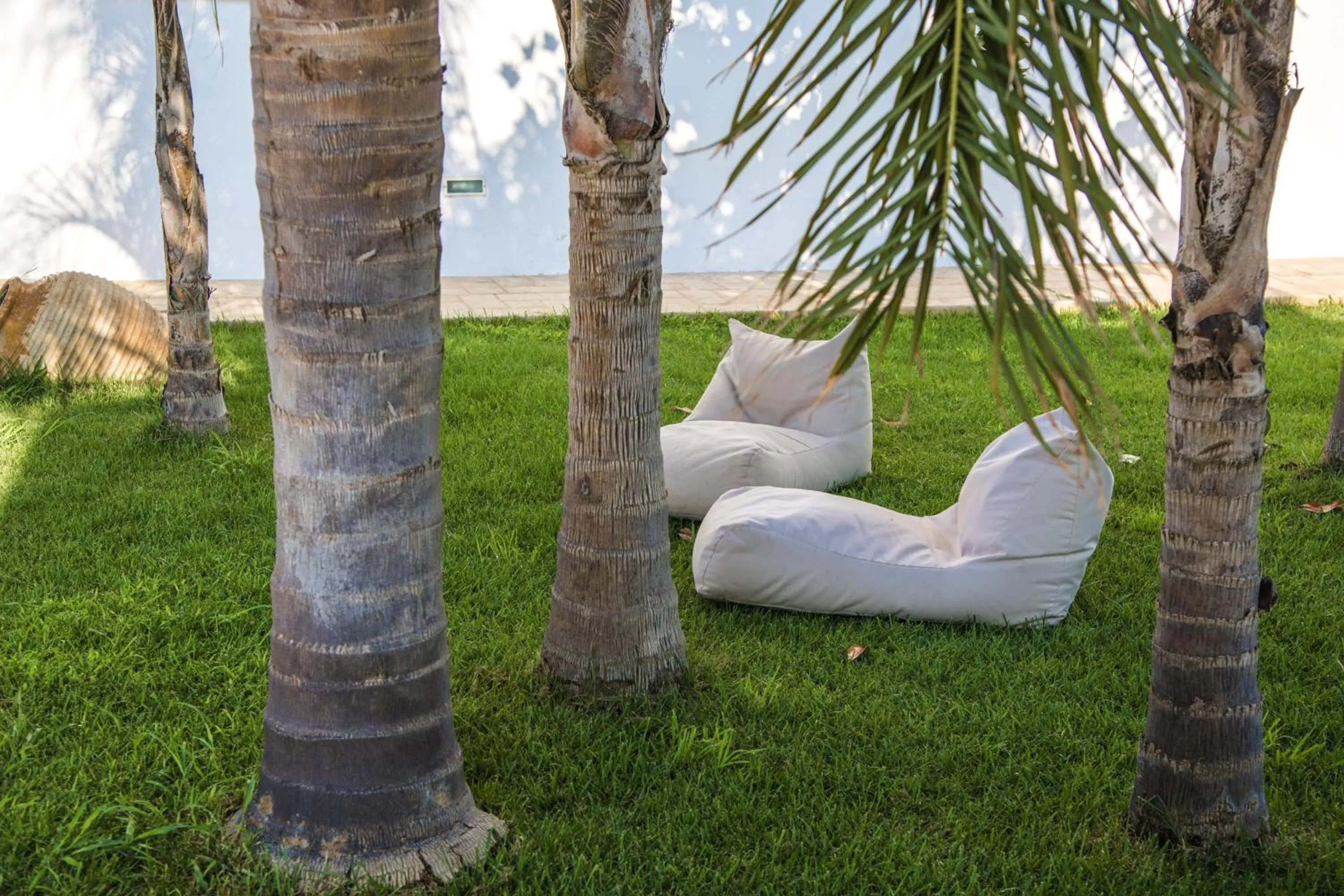 Garden in Colonides Beach Hotel