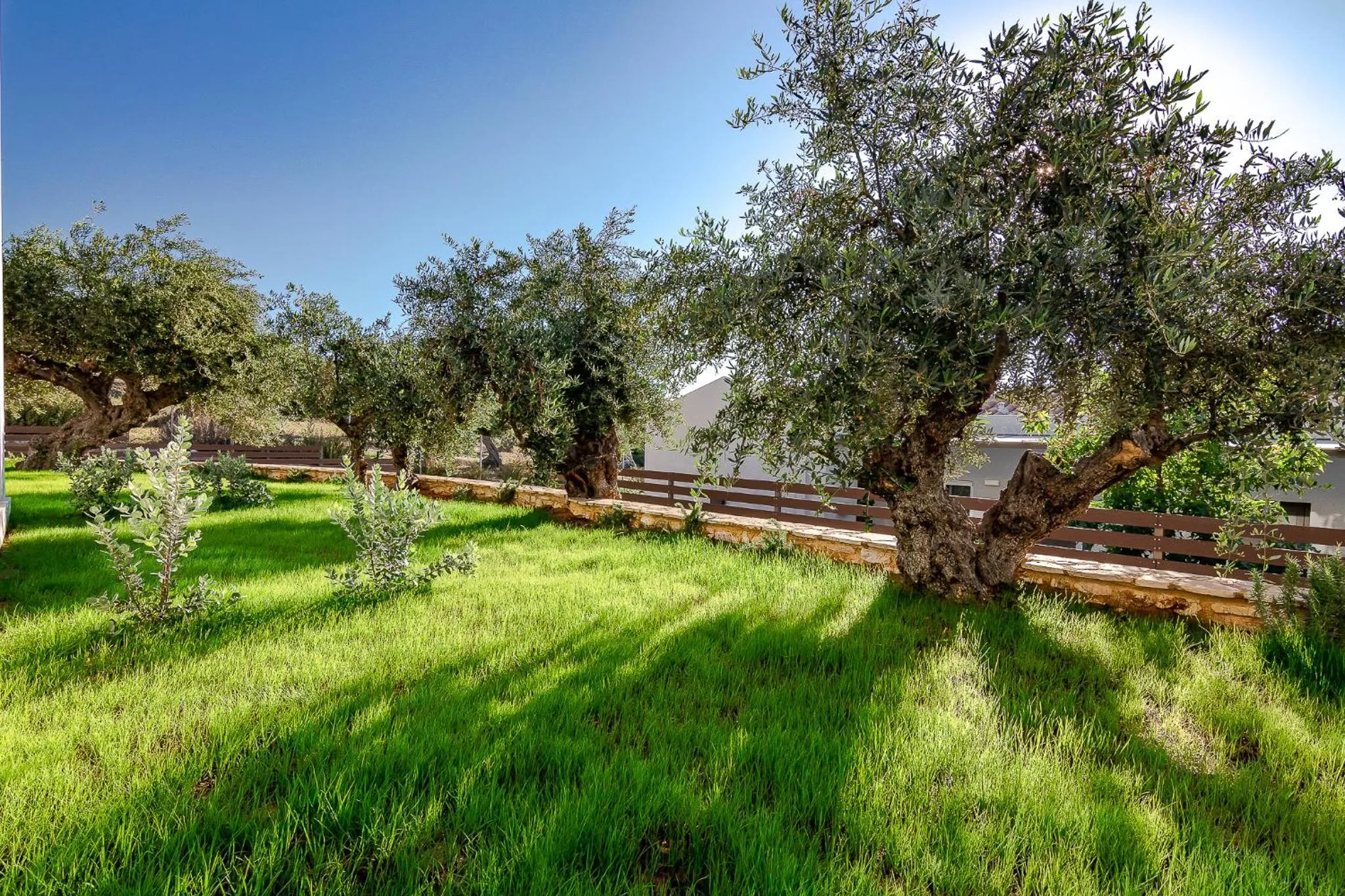 Colonides Beach Hotel