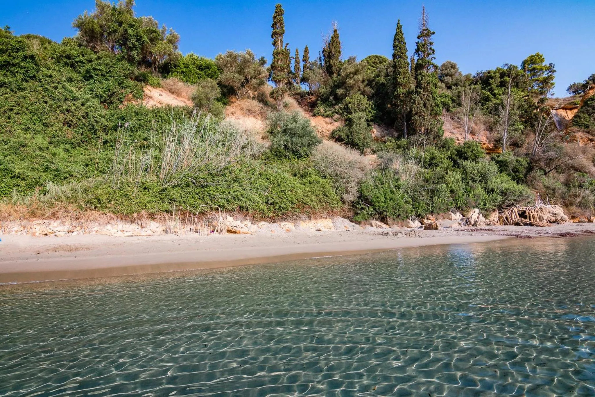 Colonides Beach Hotel