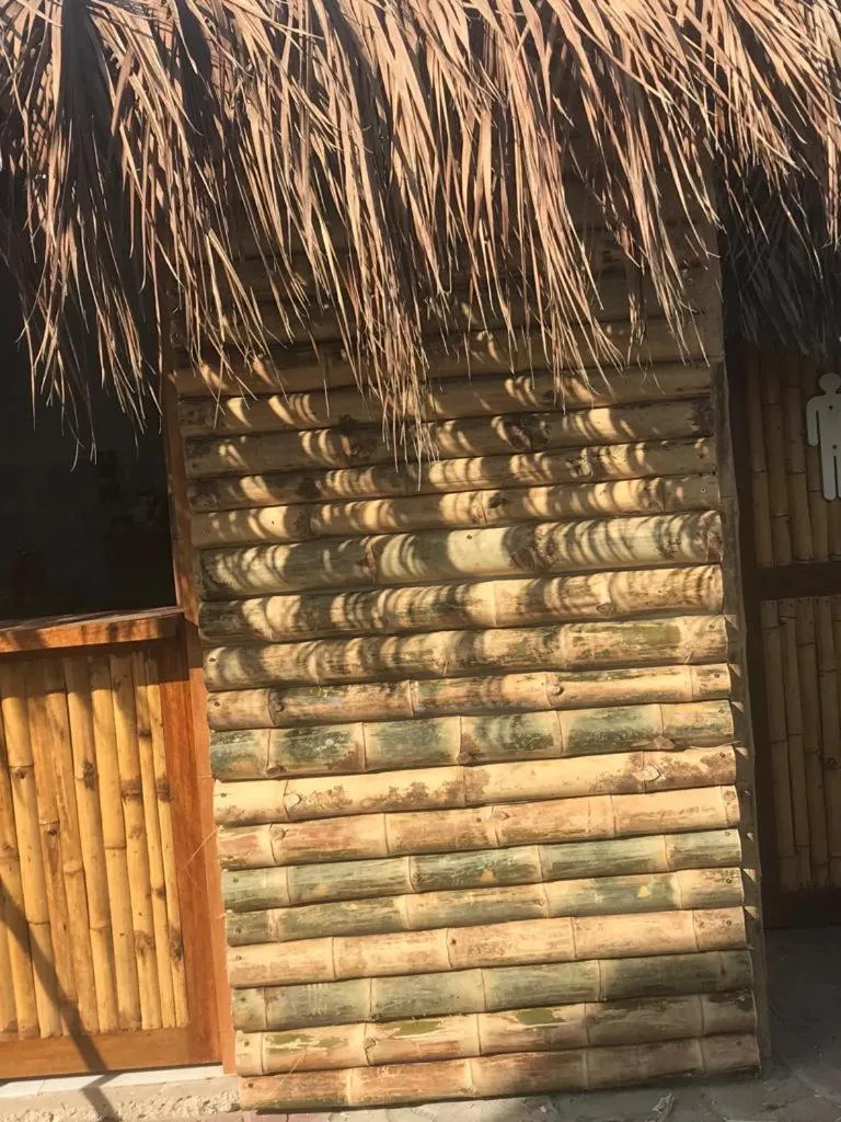 Restaurant/places to eat in Maria Jose Bungalows