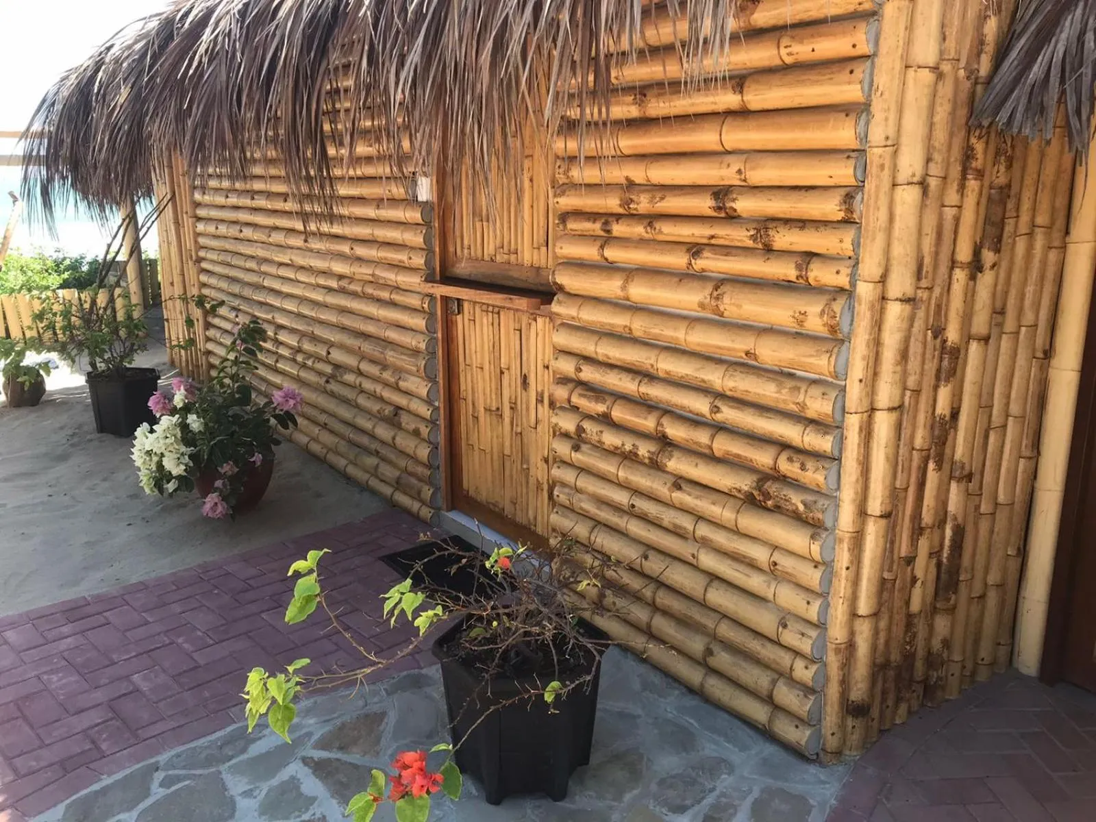 Restaurant/places to eat in Maria Jose Bungalows