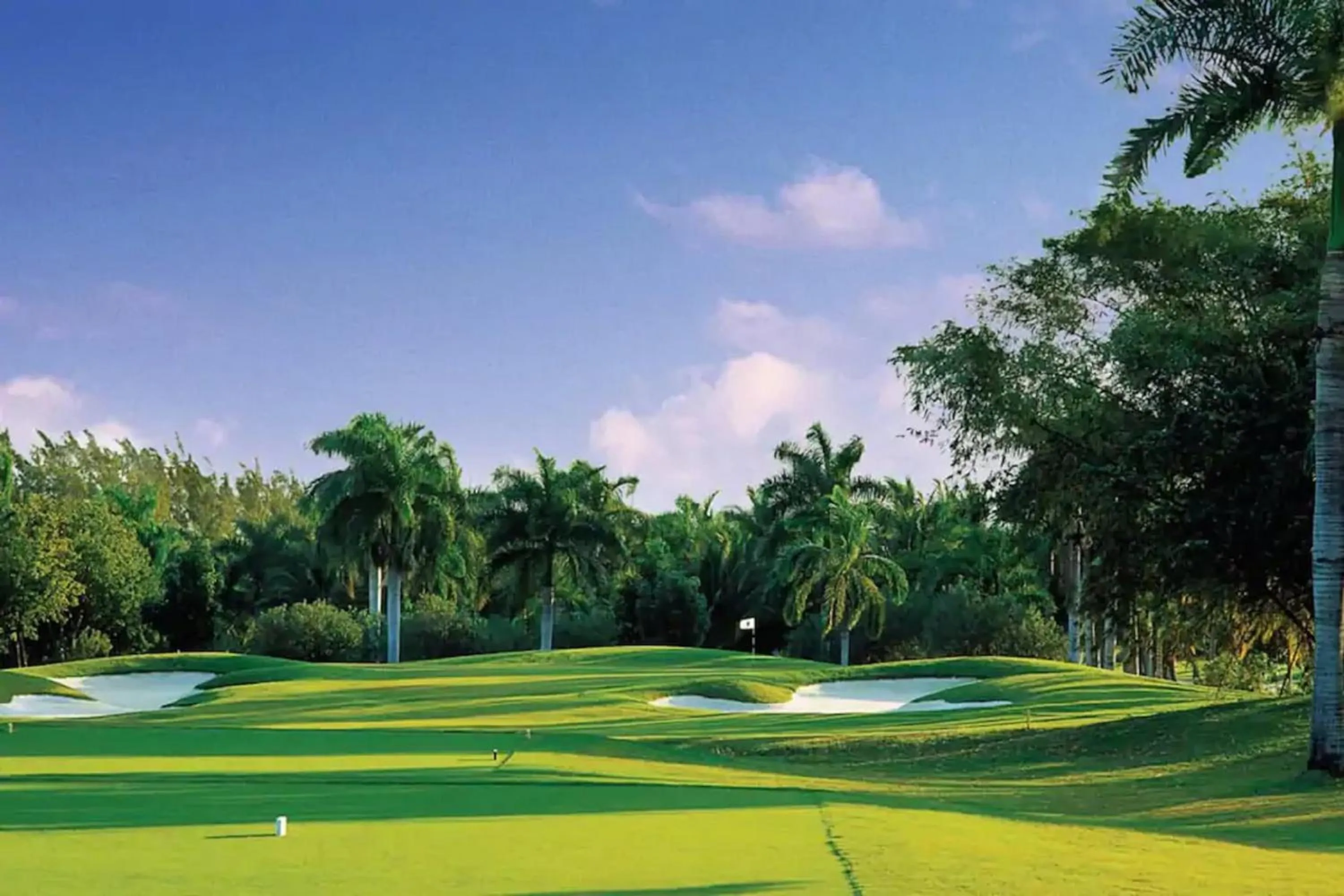 Golfcourse in Magnificent 5-Bedroom Estate Villa, Sleeps 12