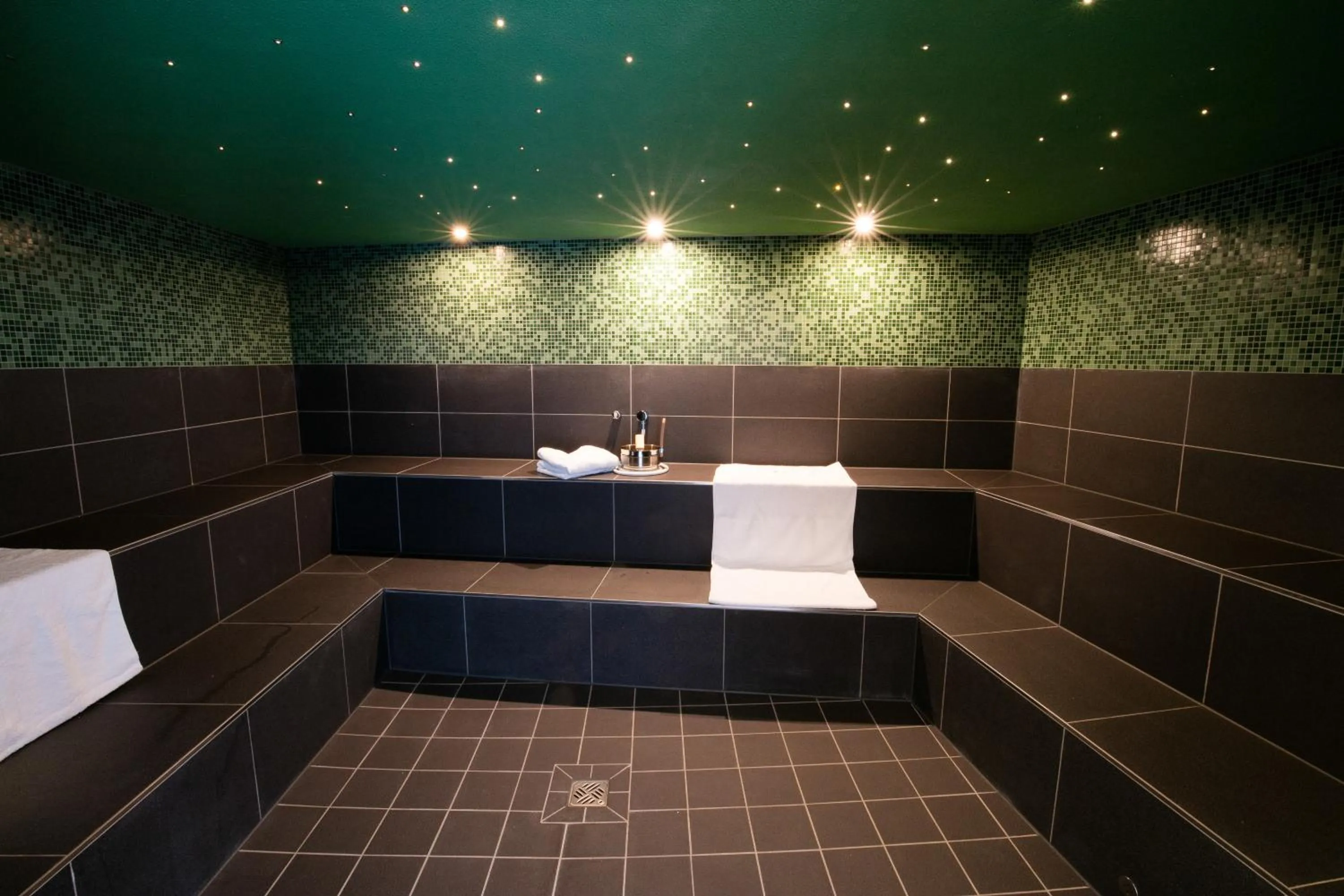 Swimming pool in Holiday Park La Sapinière