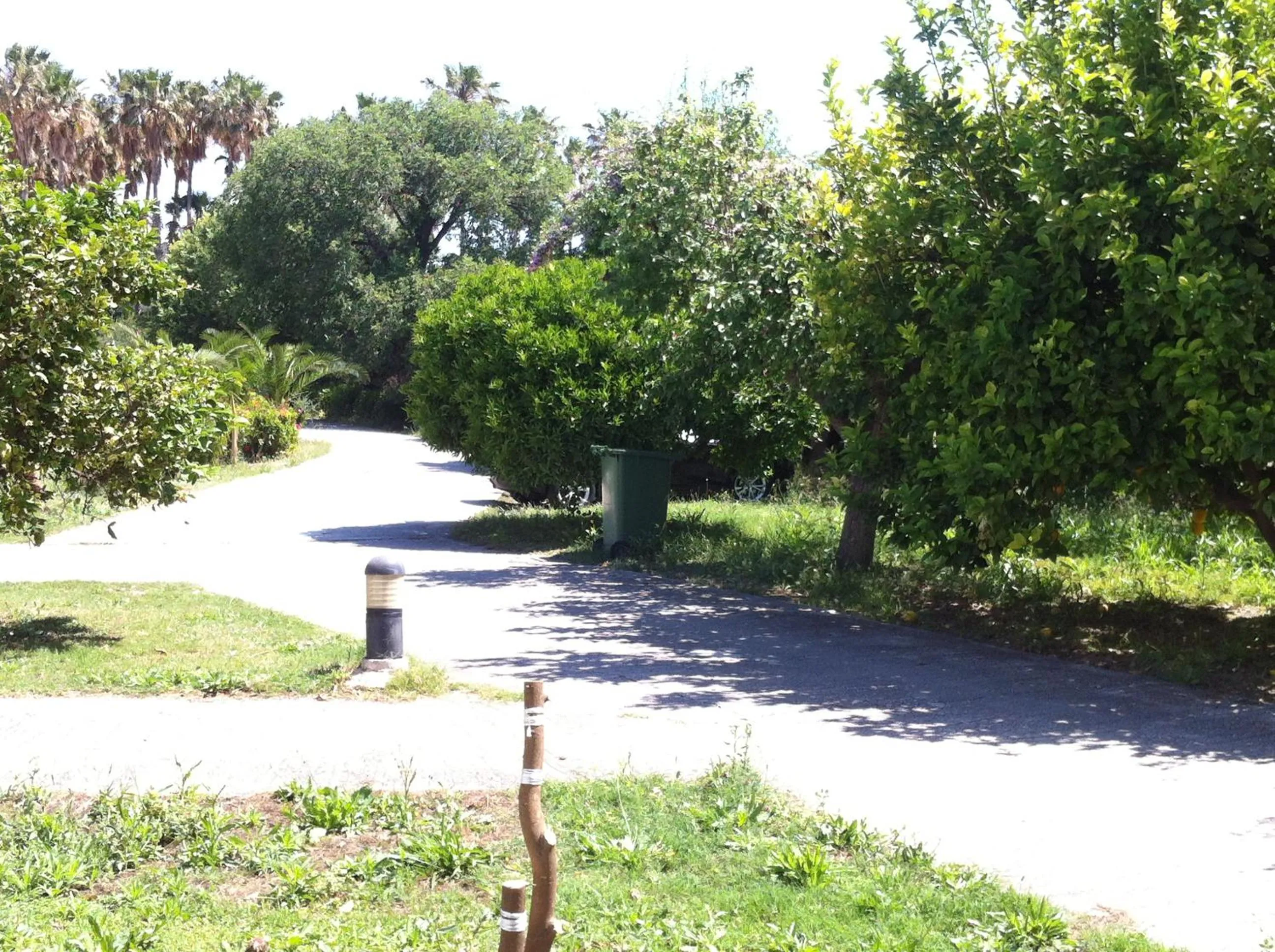 Garden in Olgas Paradise Apartments