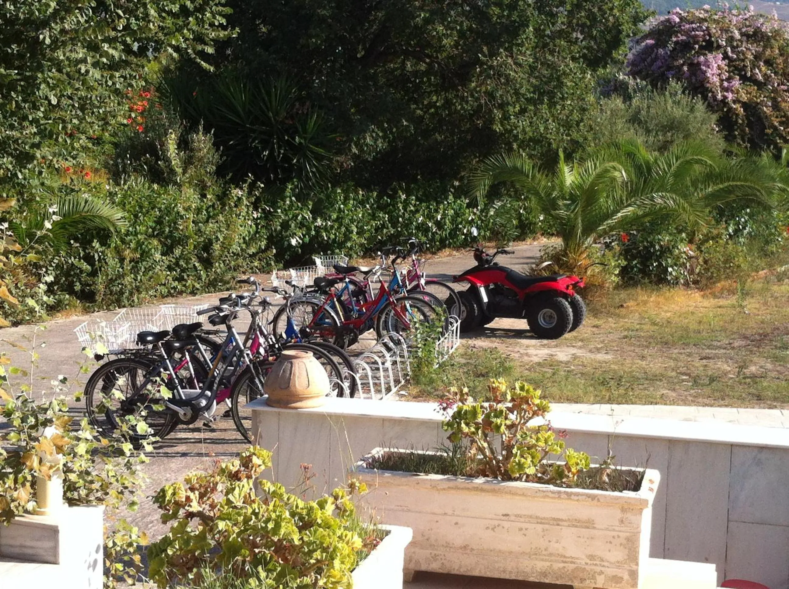 Other in Olgas Paradise Apartments