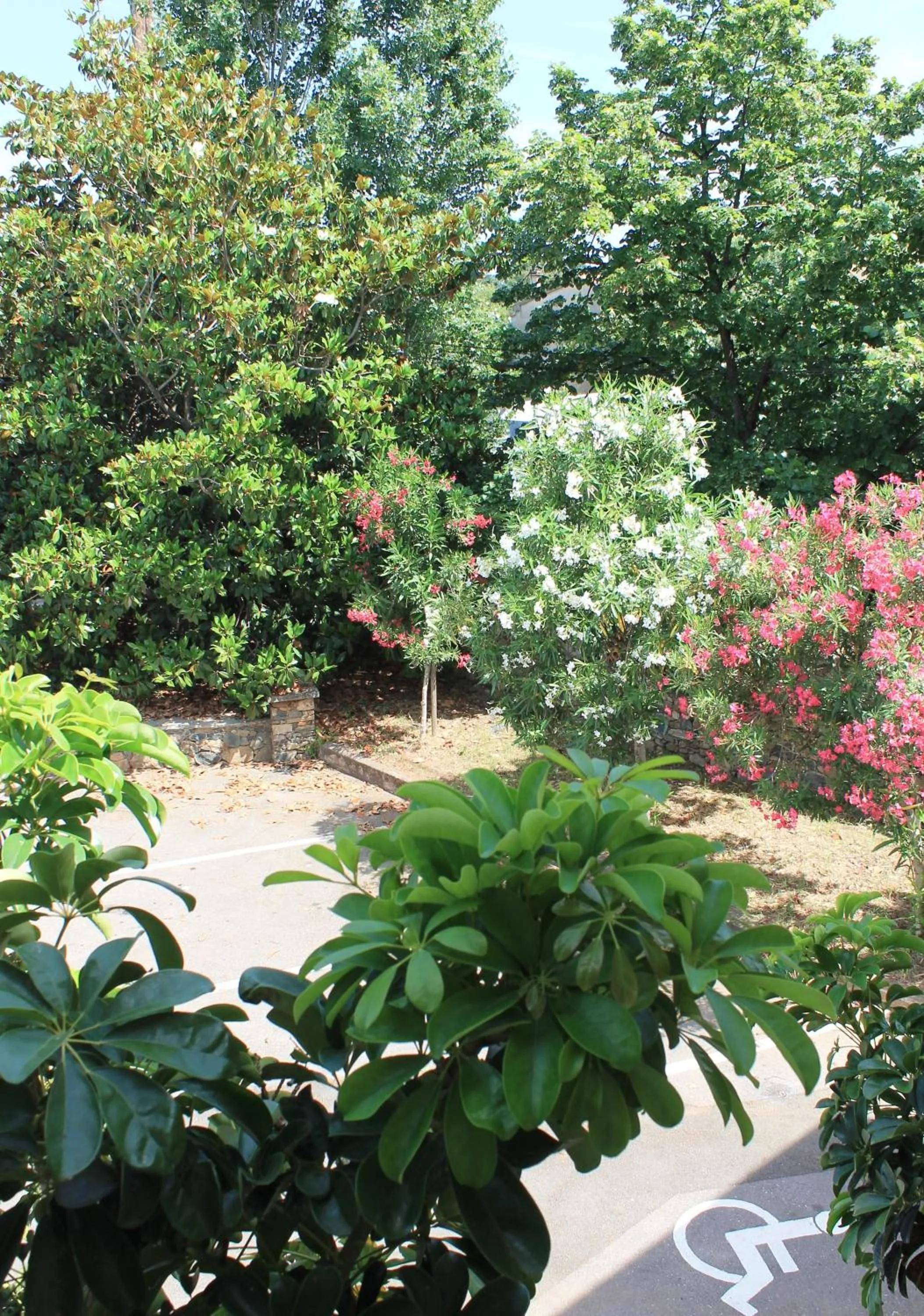 Domaine Le Clos des Oliviers